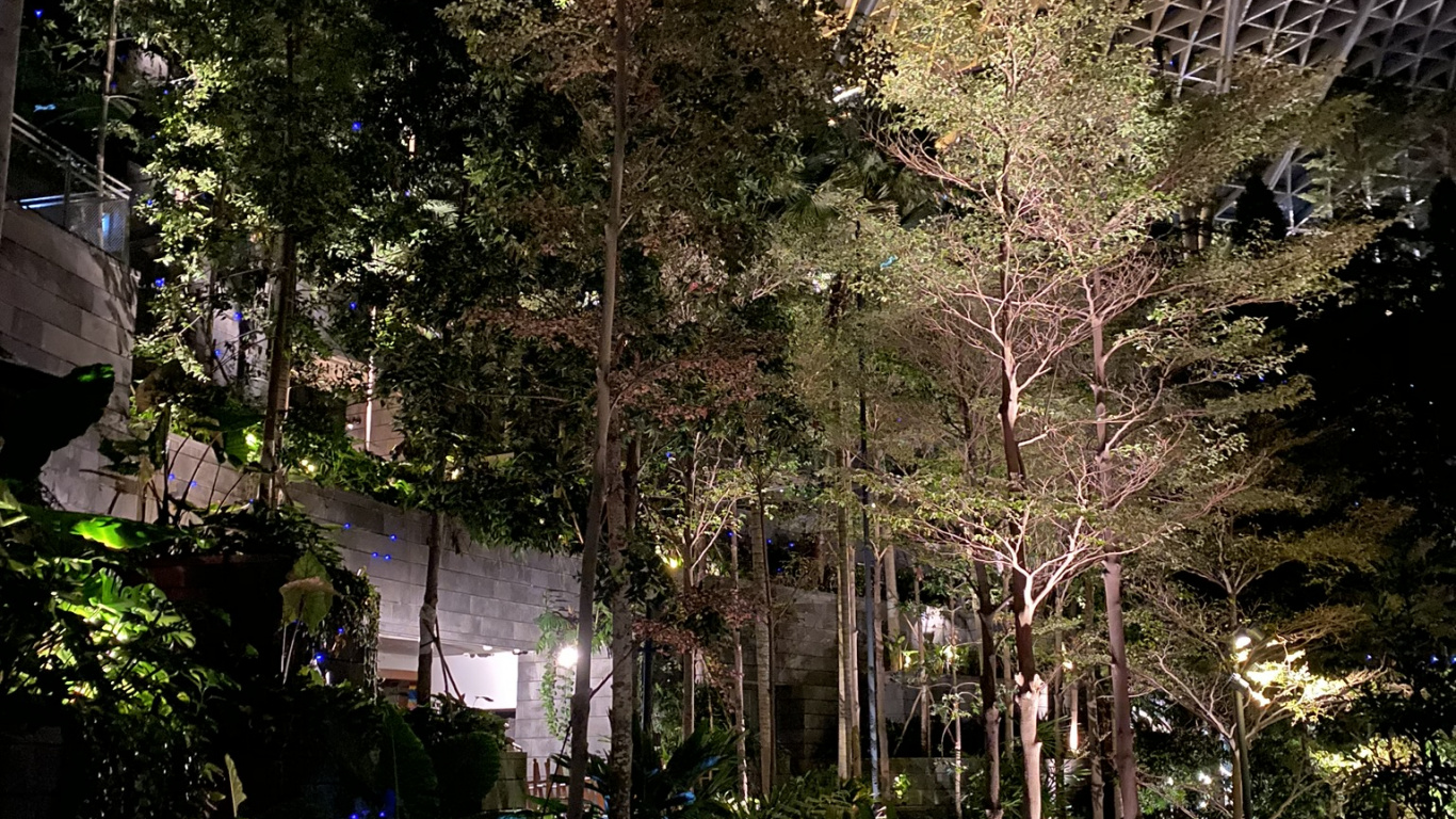 性质, 风景照, 花园, 人行道, 院子里 壁纸 1366x768 允许