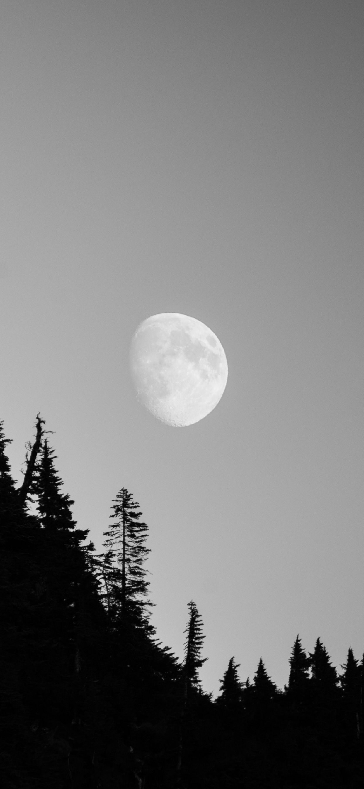 Luna, Naturaleza, Objeto Astronómico, Luz, Entorno Natural. Wallpaper in 1242x2688 Resolution