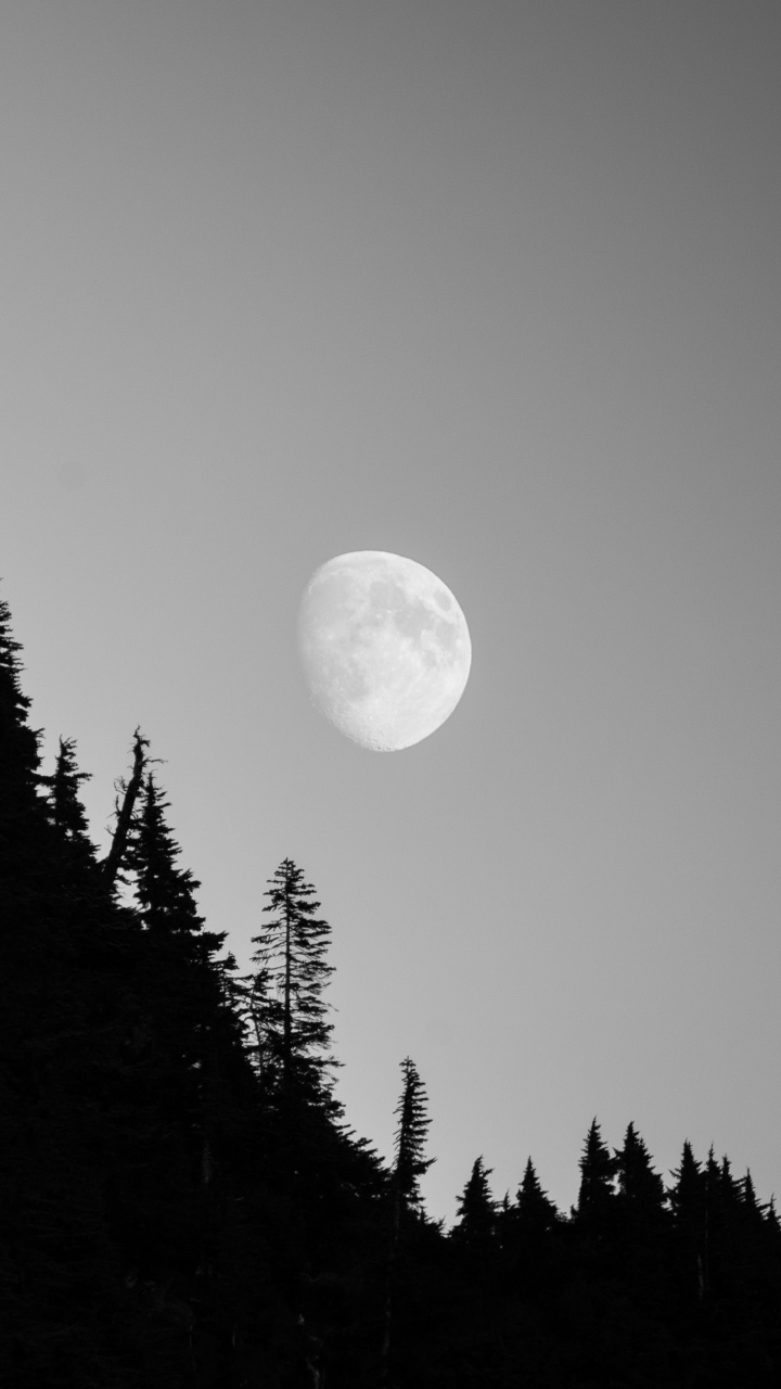 Luna, Naturaleza, Objeto Astronómico, Luz, Entorno Natural. Wallpaper in 720x1280 Resolution