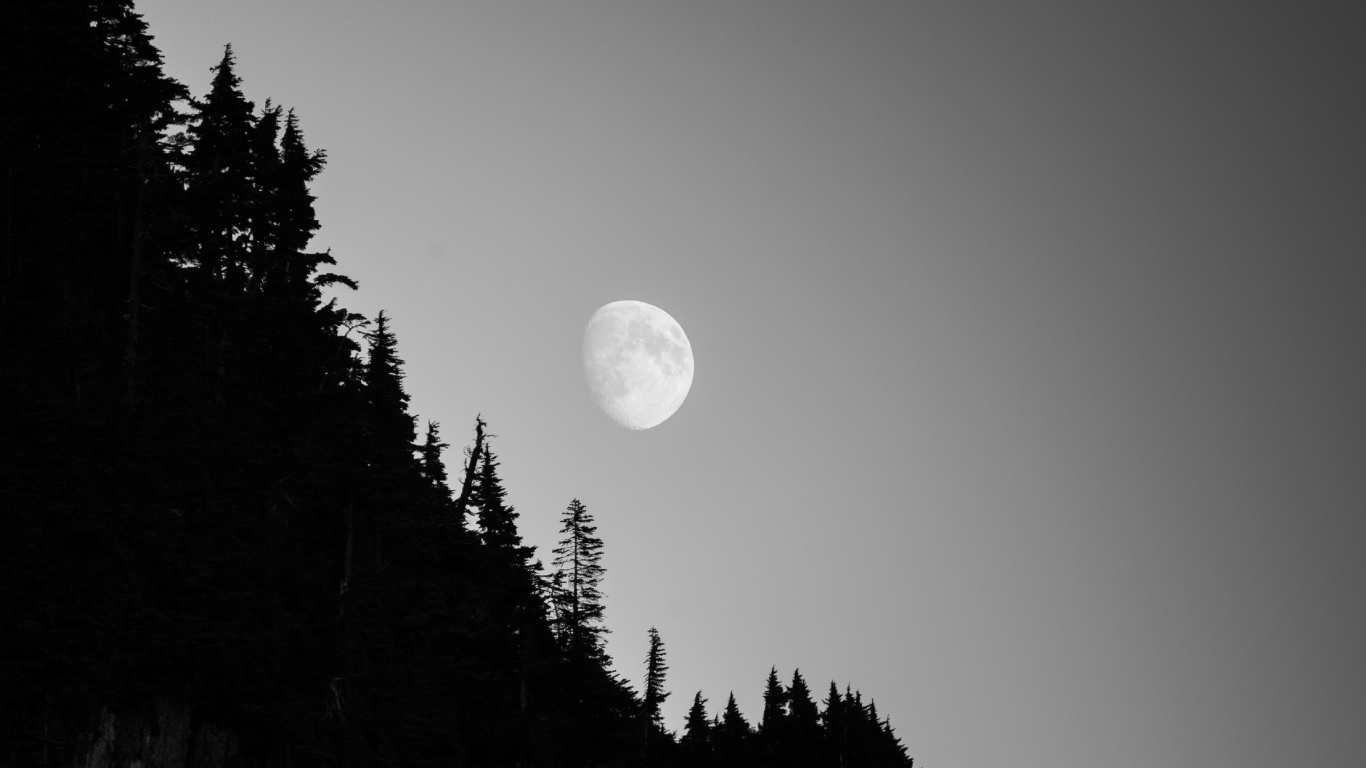 Mond, Natur, Baum, Astronomisches Objekt, Licht. Wallpaper in 1366x768 Resolution