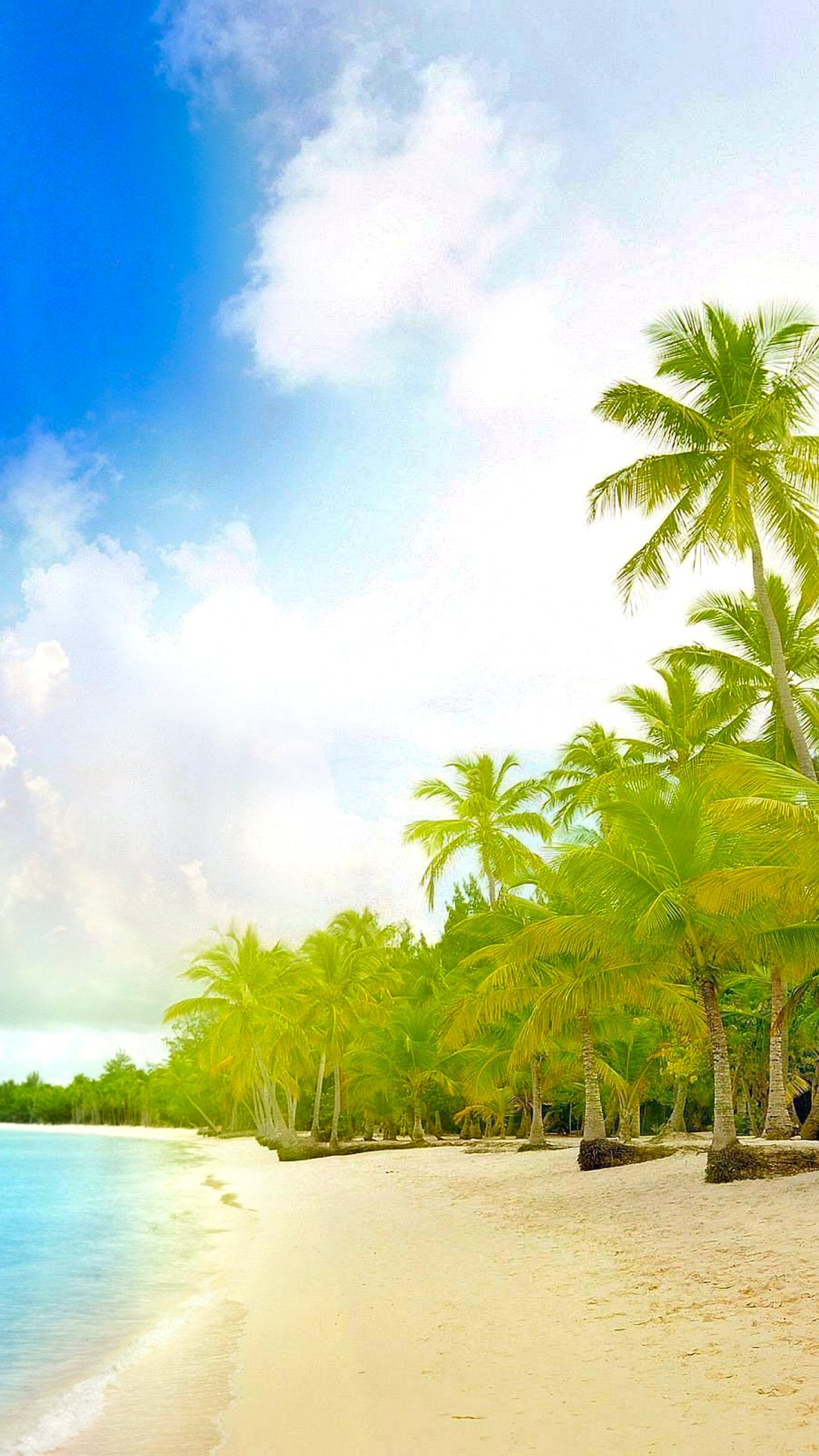 Green Coconut Palm Trees on Beach Shore During Daytime. Wallpaper in 1080x1920 Resolution