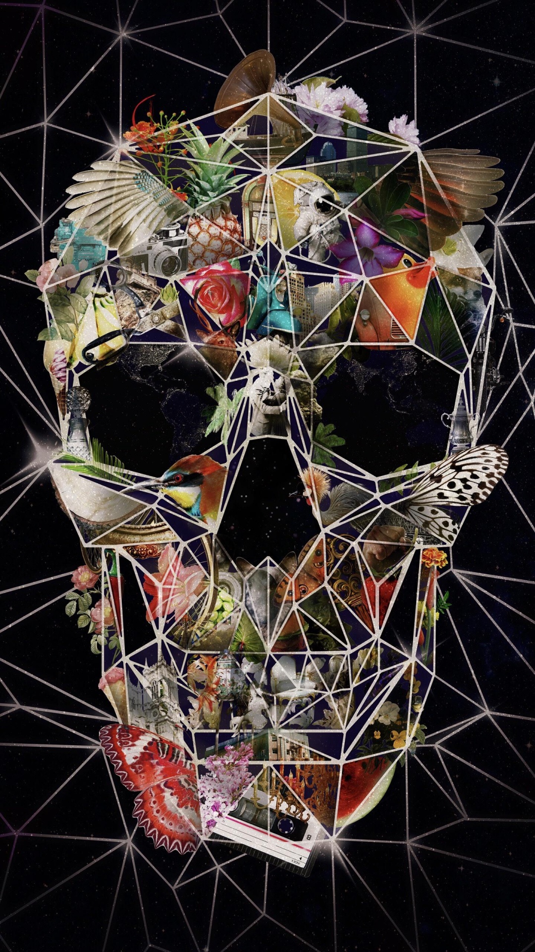 Skull, Skull Art, Art, Abstract Art, Art Print. Wallpaper in 1080x1920 Resolution