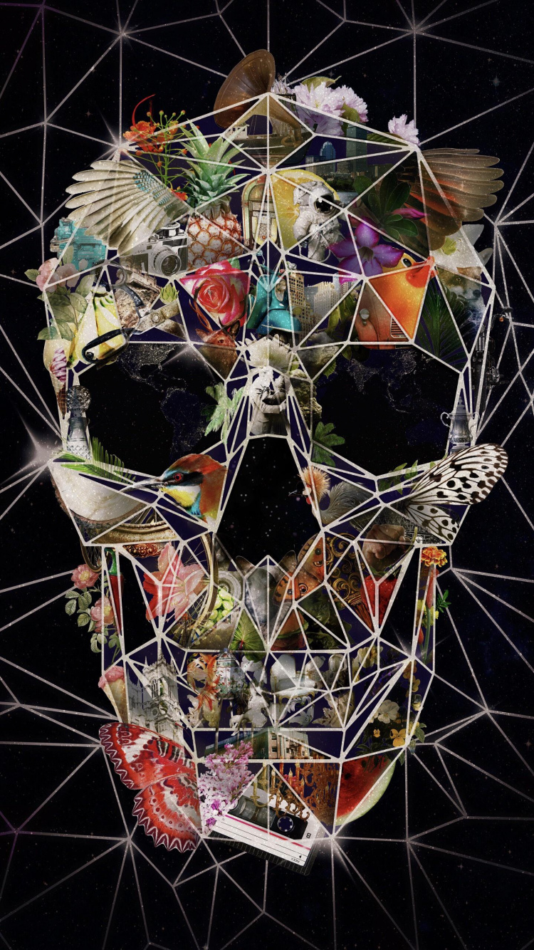 Skull, Skull Art, Art, Abstract Art, Art Print. Wallpaper in 750x1334 Resolution