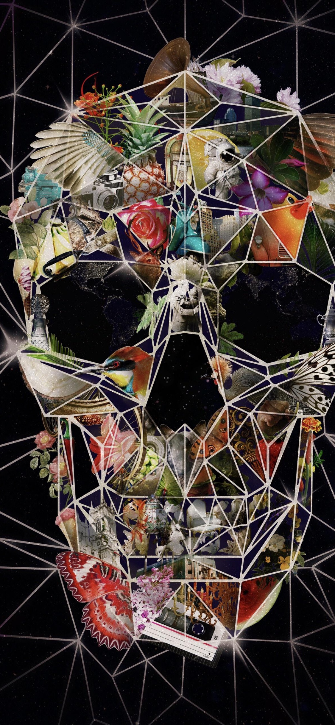 头骨, 颅术, 艺术, 抽象艺术, 海报 壁纸 1125x2436 允许