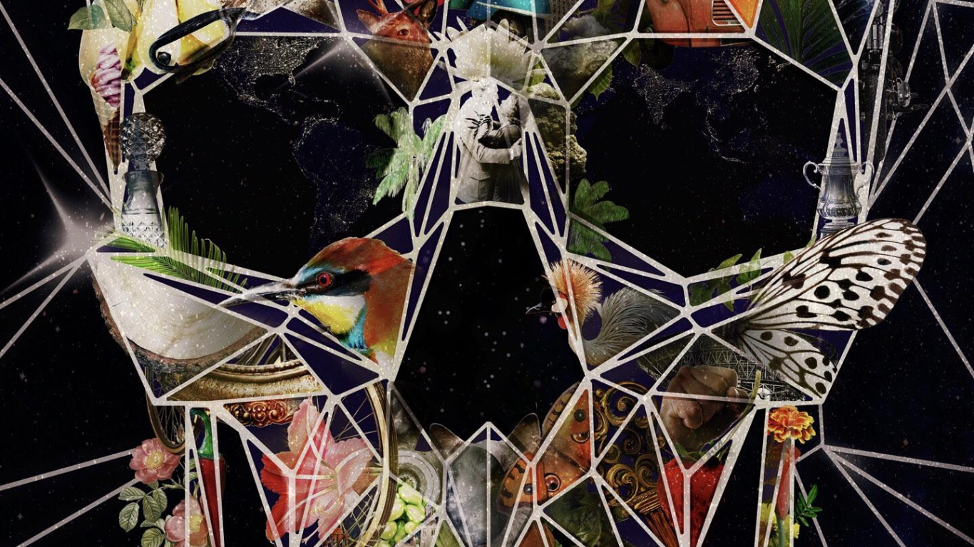 头骨, 颅术, 艺术, 抽象艺术, 海报 壁纸 1366x768 允许