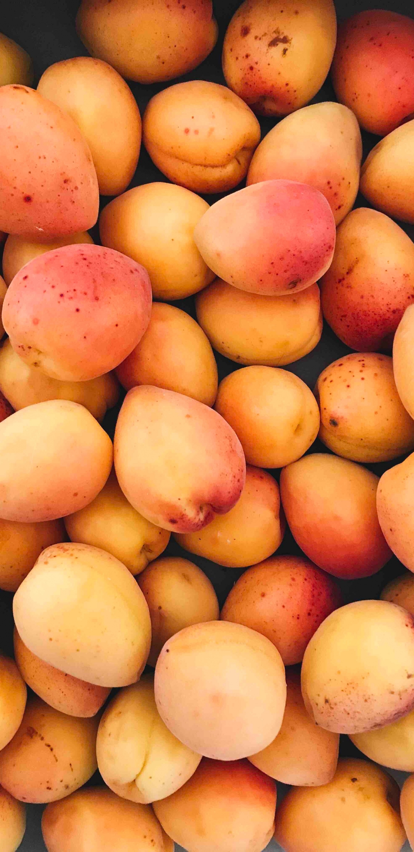 Frutos Redondos Amarillos y Rojos. Wallpaper in 1440x2960 Resolution