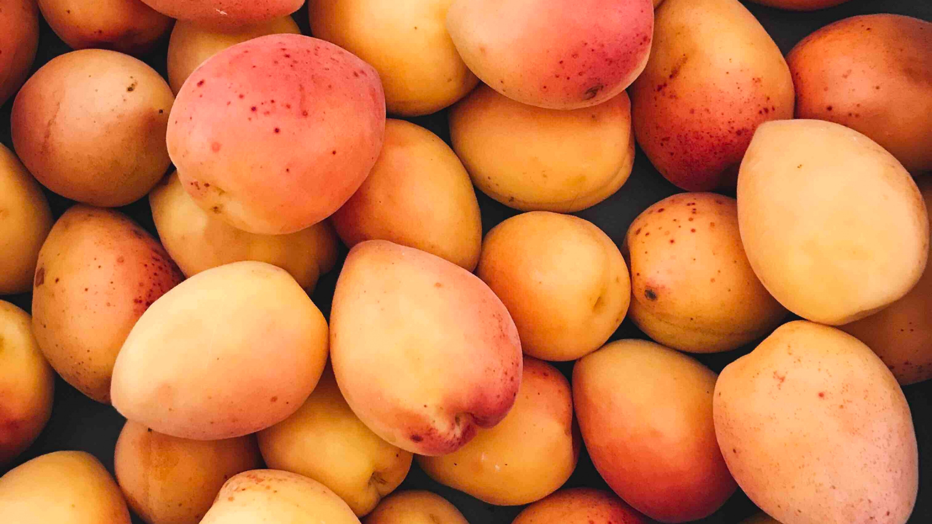 Frutos Redondos Amarillos y Rojos. Wallpaper in 1920x1080 Resolution