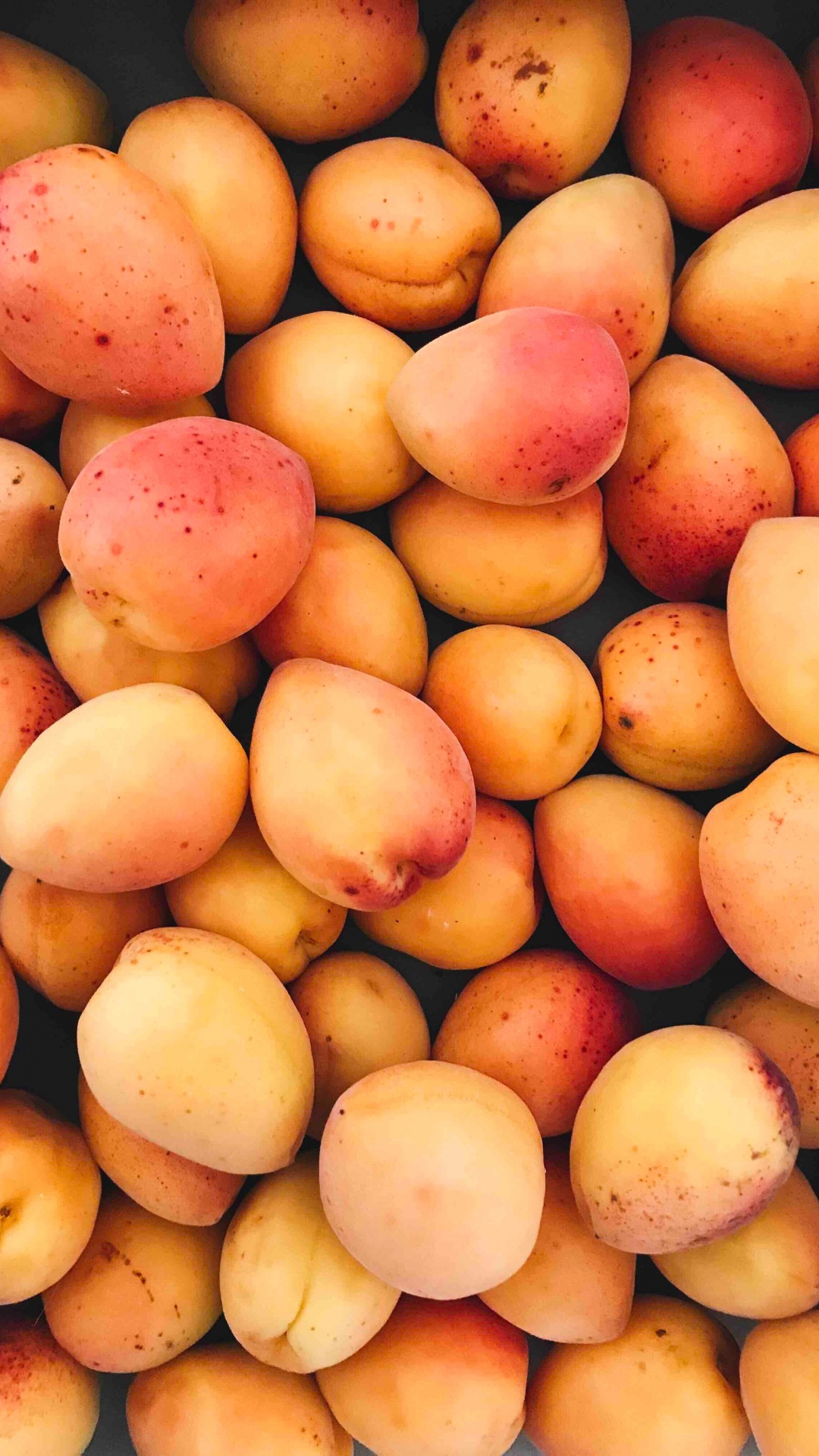 Yellow and Red Round Fruits. Wallpaper in 1080x1920 Resolution