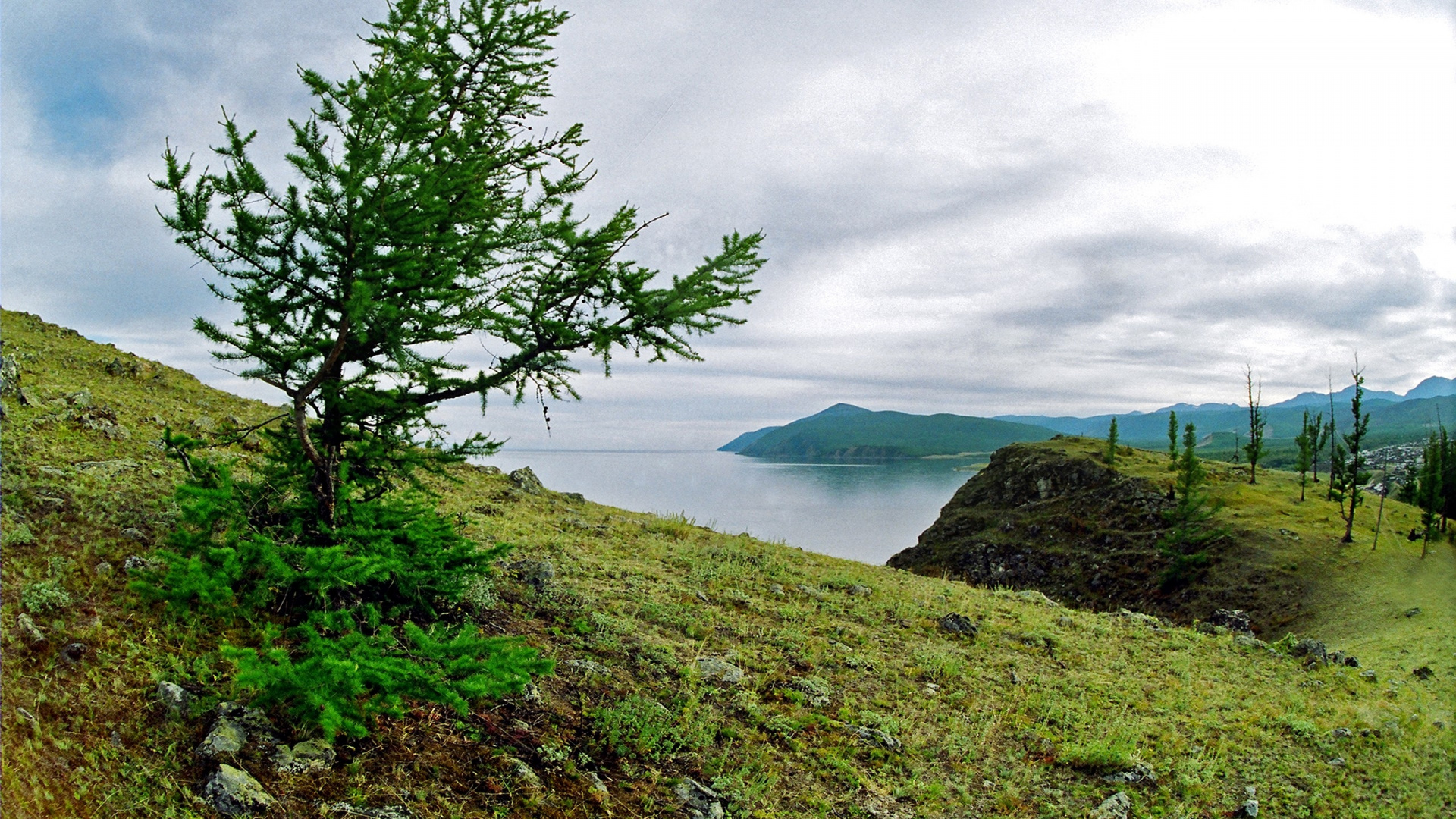 Green Tree Near Body of Water Under Cloudy Sky During Daytime. Wallpaper in 1920x1080 Resolution