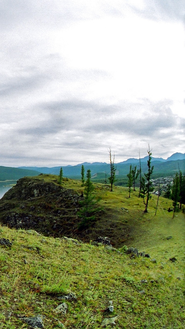 Green Tree Near Body of Water Under Cloudy Sky During Daytime. Wallpaper in 720x1280 Resolution