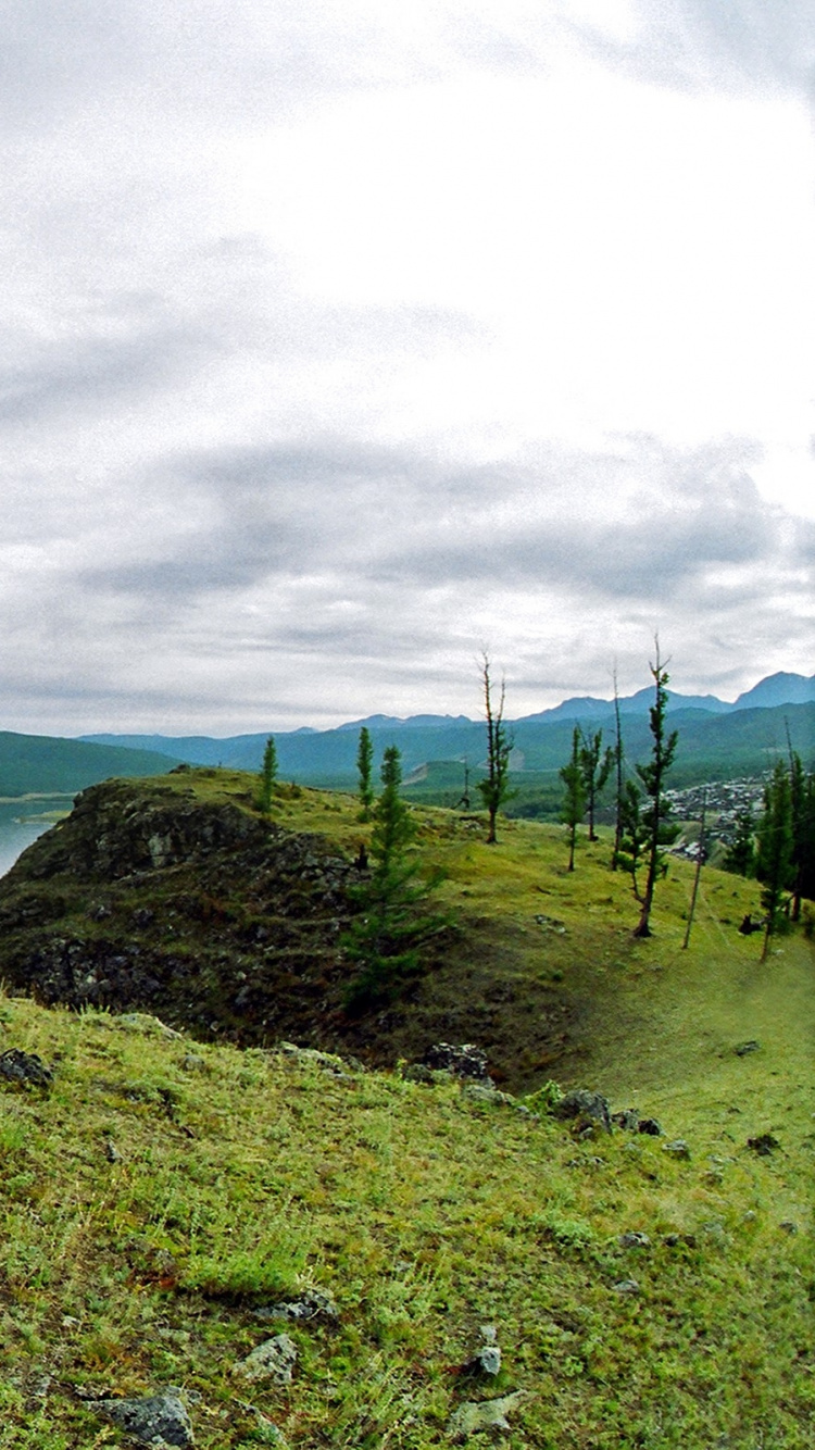 Green Tree Near Body of Water Under Cloudy Sky During Daytime. Wallpaper in 750x1334 Resolution