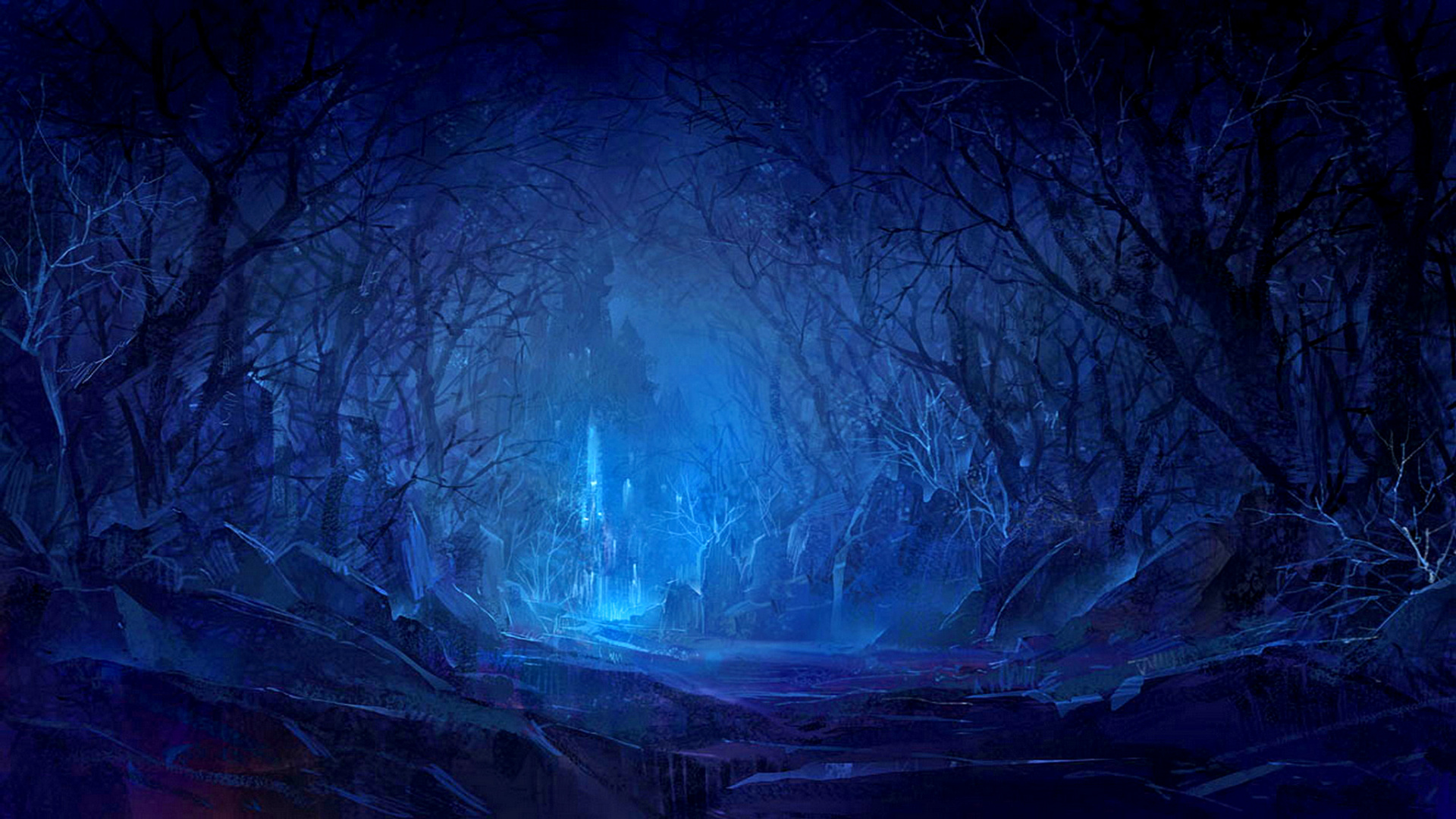 Braune Bäume Auf Schneebedecktem Boden Während Der Nacht. Wallpaper in 1920x1080 Resolution