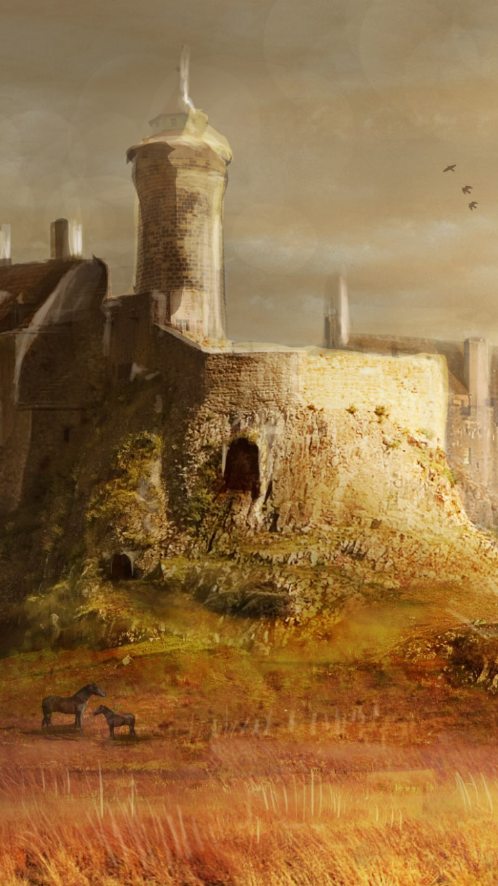 Château Sur la Colline Pendant la Journée. Wallpaper in 720x1280 Resolution