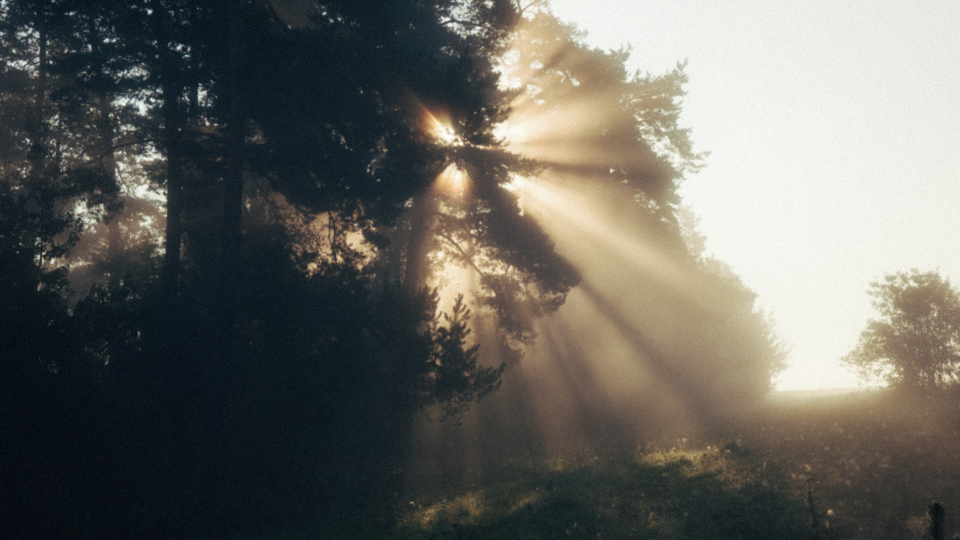 Sonnenlicht, Abend, Baum, Natur, Cloud. Wallpaper in 1366x768 Resolution