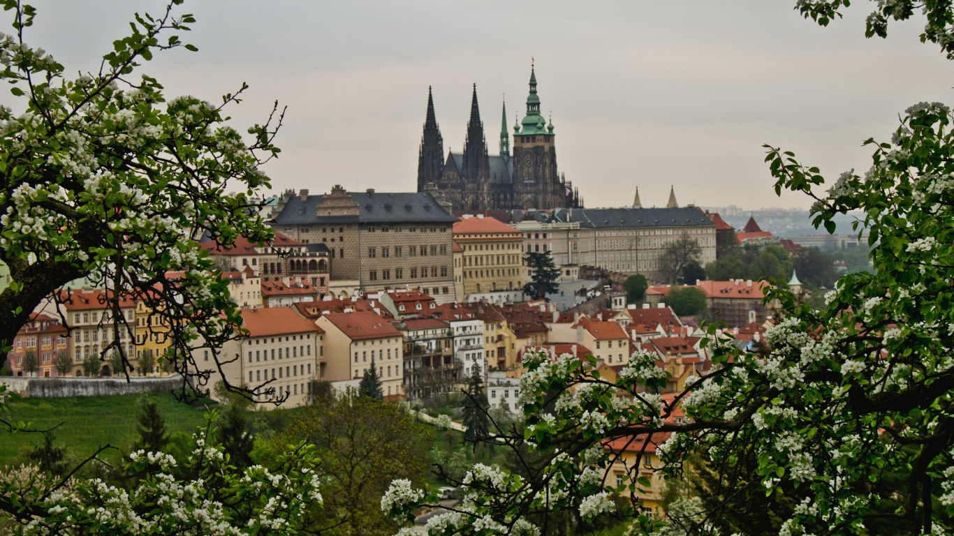 Edificio de Hormigón Marrón y Gris. Wallpaper in 1366x768 Resolution
