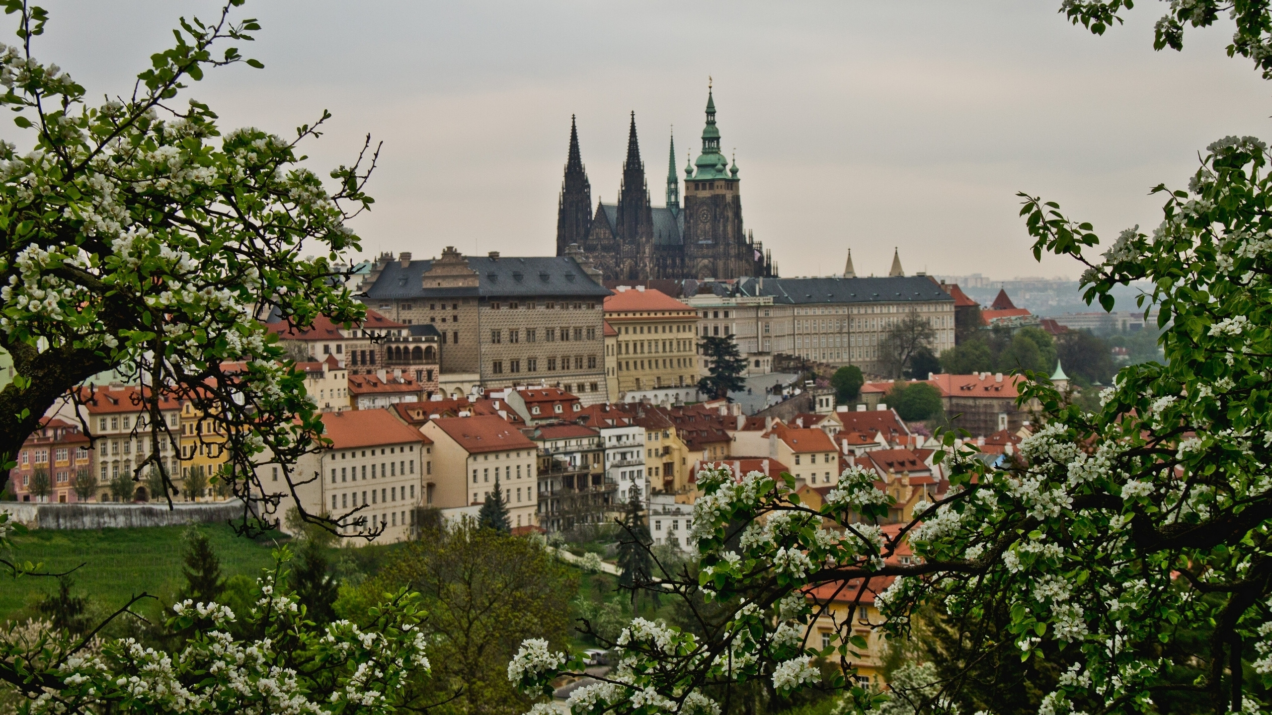 Braunes Und Graues Betongebäude. Wallpaper in 2560x1440 Resolution