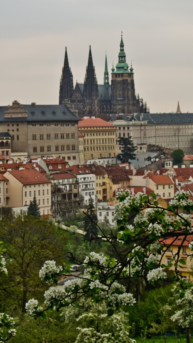 Braunes Und Graues Betongebäude. Wallpaper in 750x1334 Resolution
