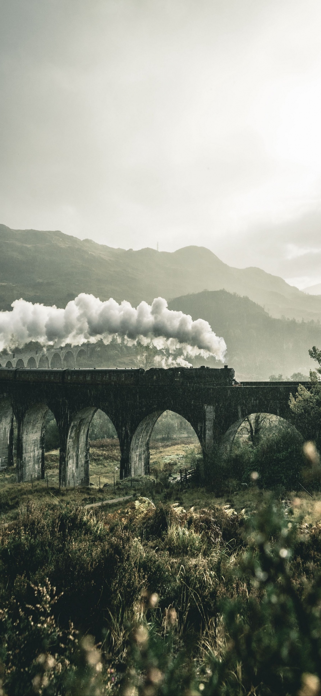 Train, Hogwarts Express, Harry Potter, The Jacobite, Cloud. Wallpaper in 1125x2436 Resolution
