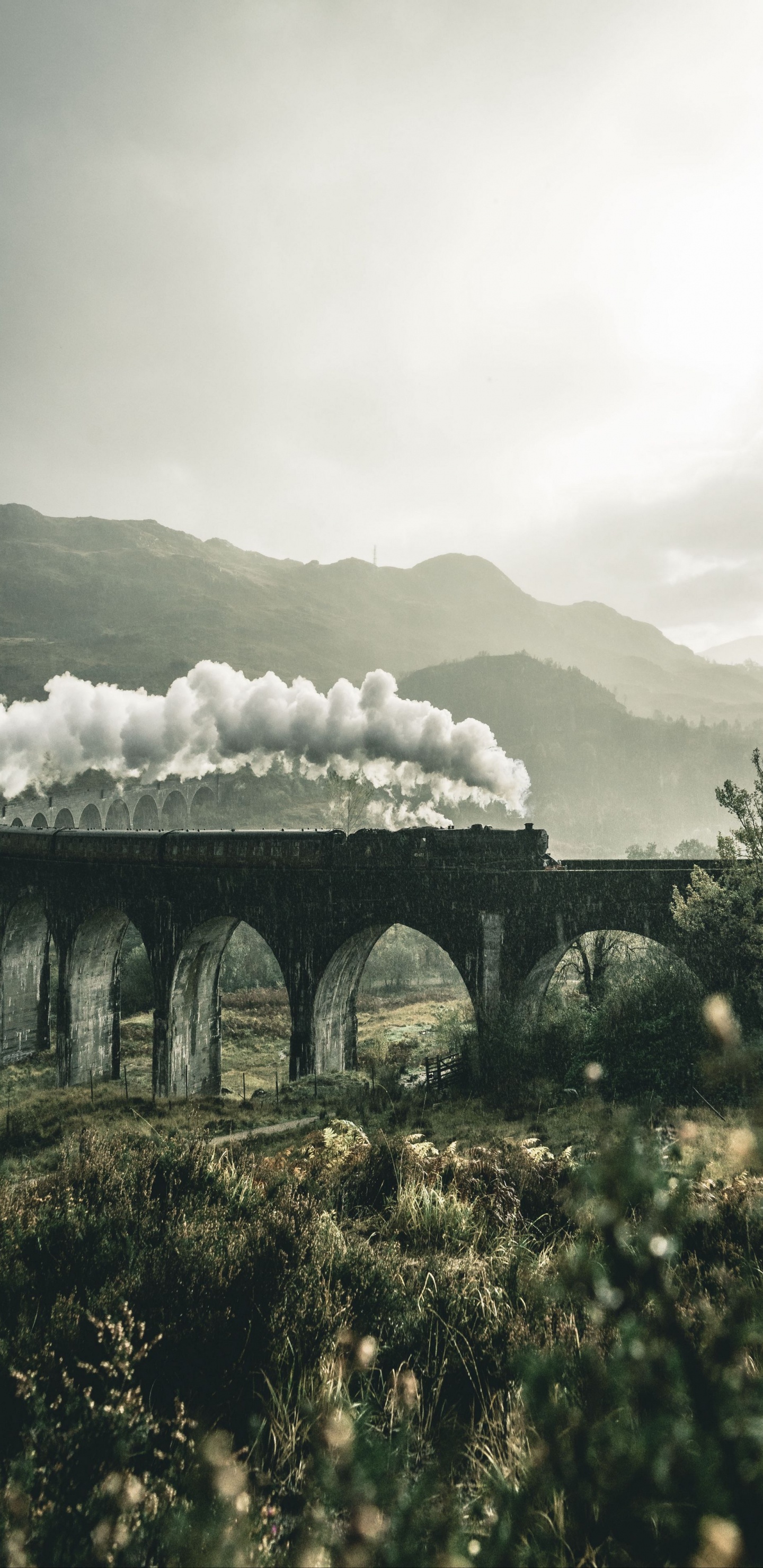 Tren, Expreso de Hogwarts, Harry Potter, el Jacobita, Naturaleza. Wallpaper in 1440x2960 Resolution