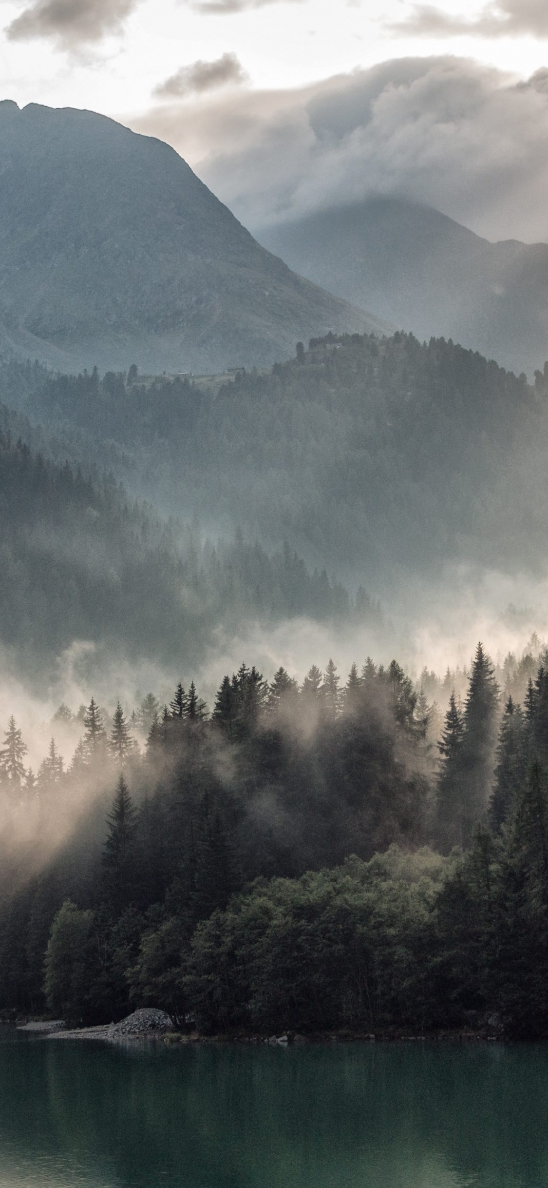 Green Trees Near Lake and Mountain During Daytime. Wallpaper in 1125x2436 Resolution