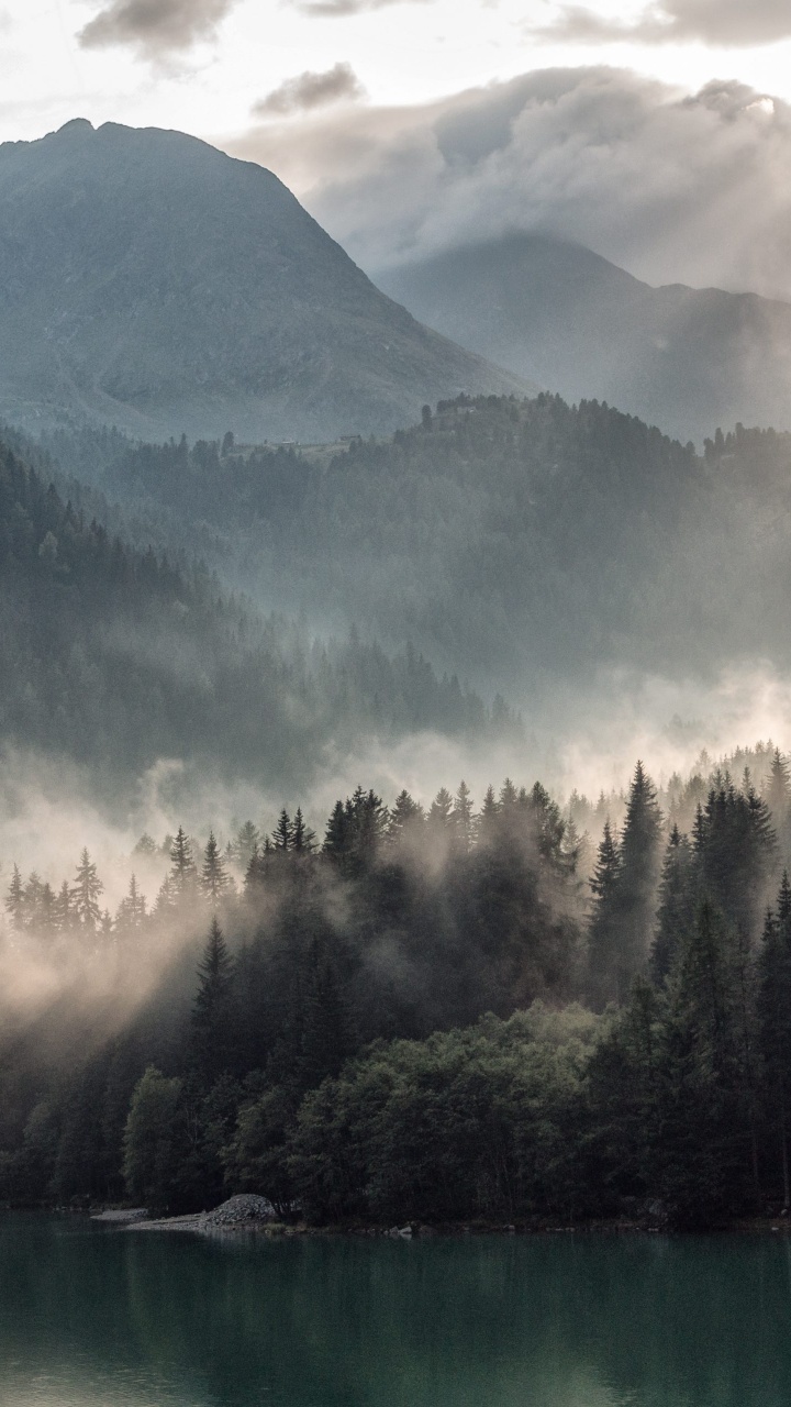 Green Trees Near Lake and Mountain During Daytime. Wallpaper in 720x1280 Resolution