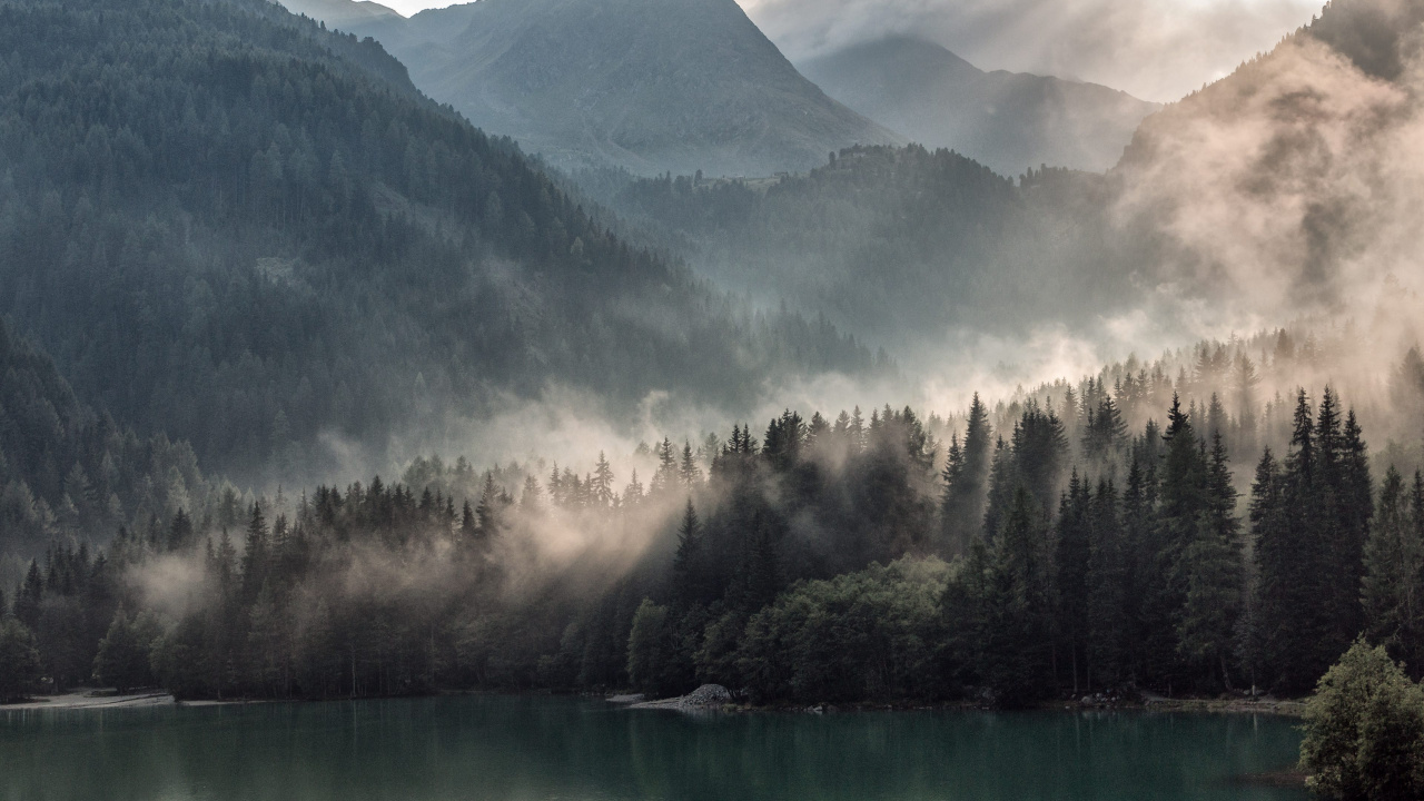 Grüne Bäume in Der Nähe Von See Und Berg Tagsüber. Wallpaper in 1280x720 Resolution