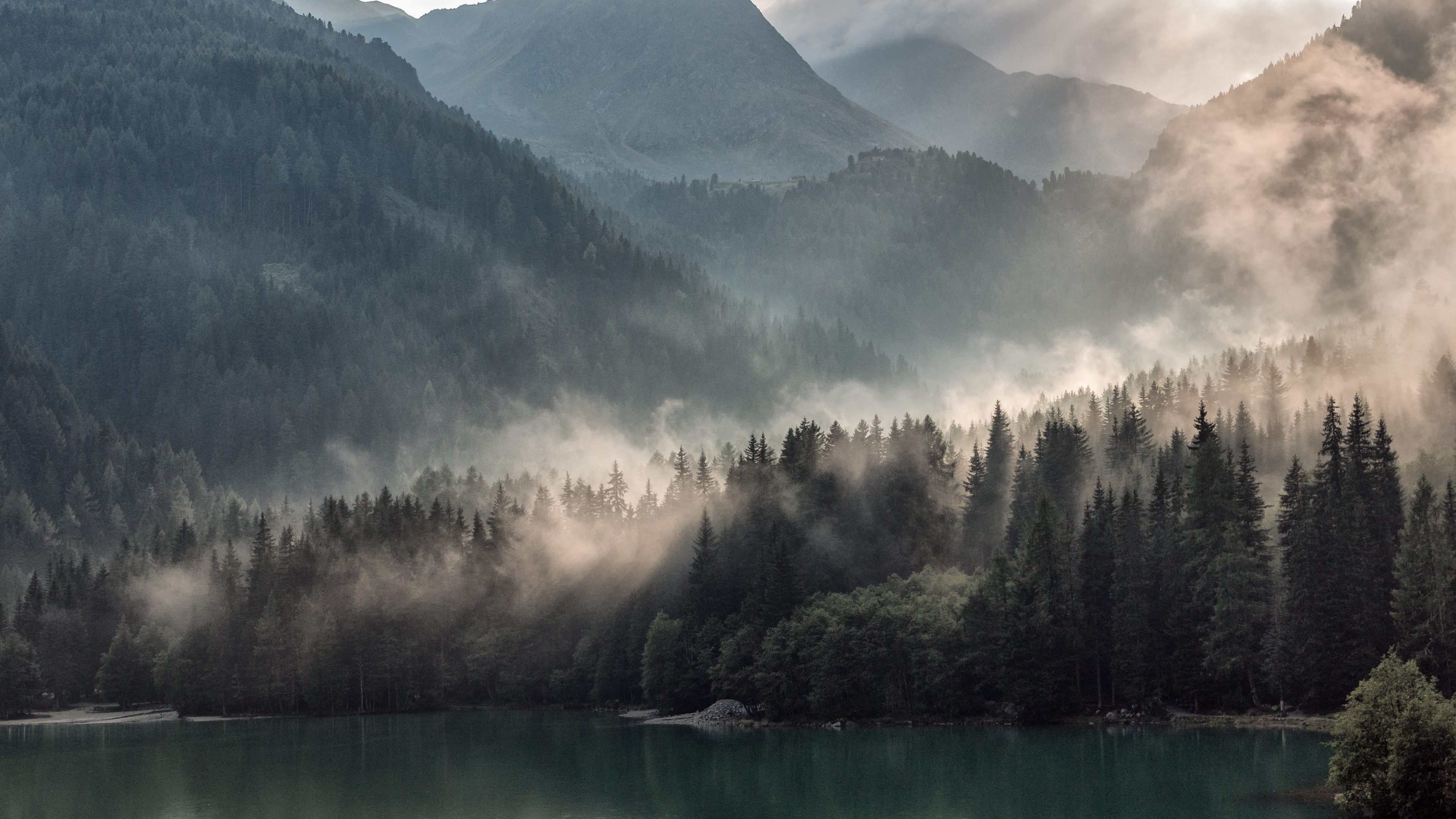 Grüne Bäume in Der Nähe Von See Und Berg Tagsüber. Wallpaper in 3840x2160 Resolution