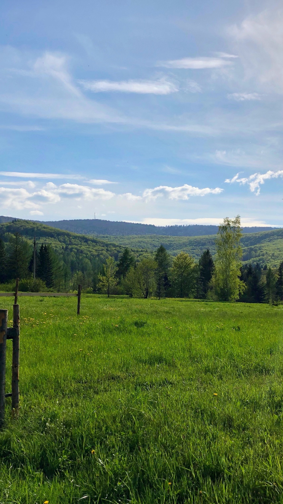 NC Bridge Nicht, Und Fluss, Brücke, Natürlichen Umgebung, Weide. Wallpaper in 1080x1920 Resolution