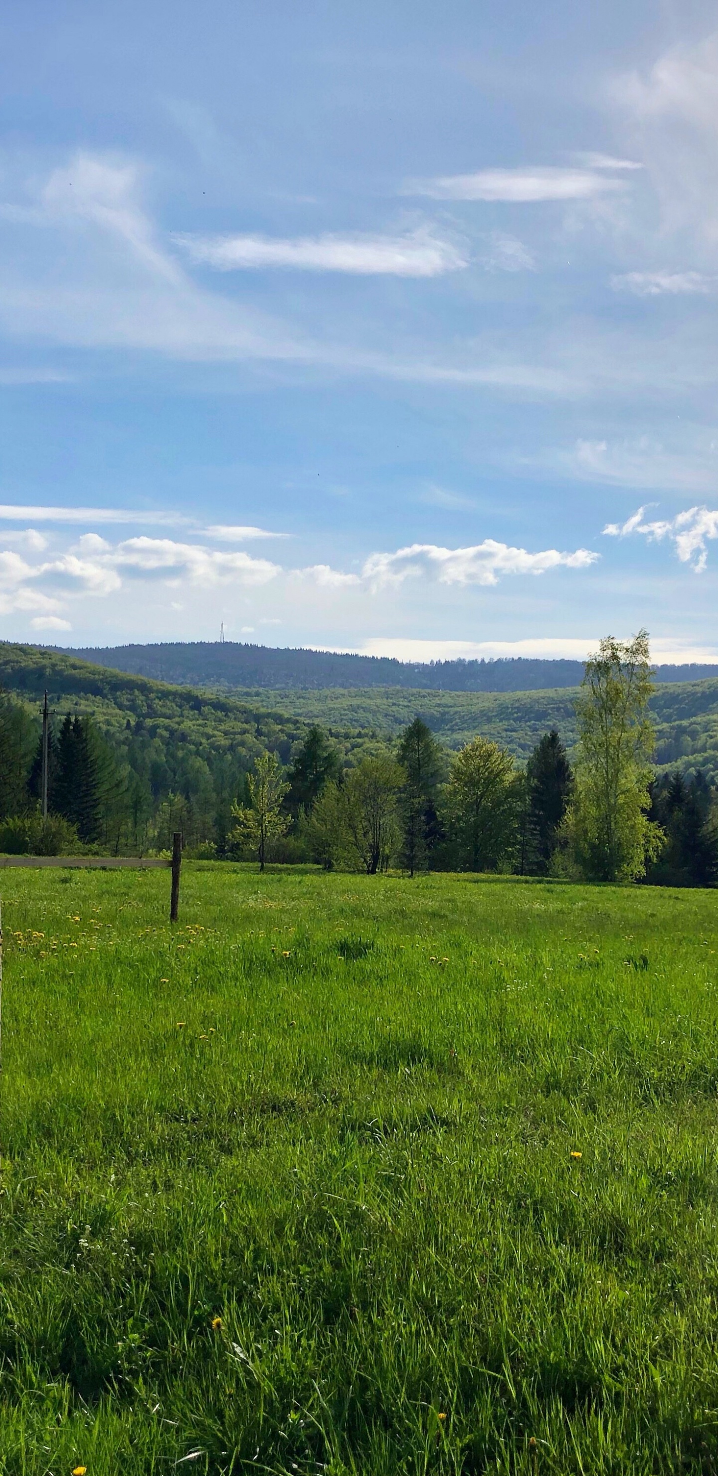 NC Bridge Nicht, Und Fluss, Brücke, Natürlichen Umgebung, Weide. Wallpaper in 1440x2960 Resolution