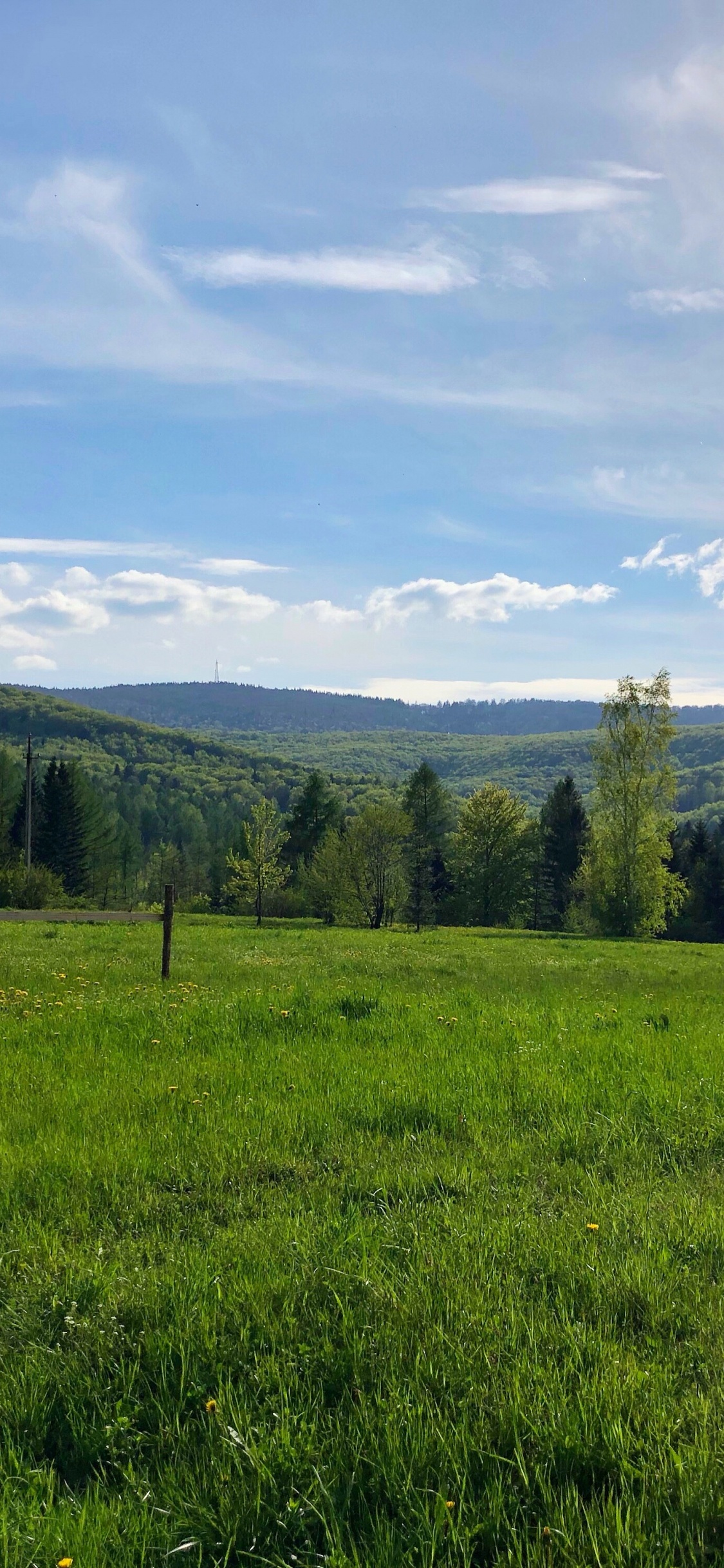 Pont nc ne Fonctionne Pas, et Rivière, Pont, Environnement Naturel, Pâturage. Wallpaper in 1125x2436 Resolution