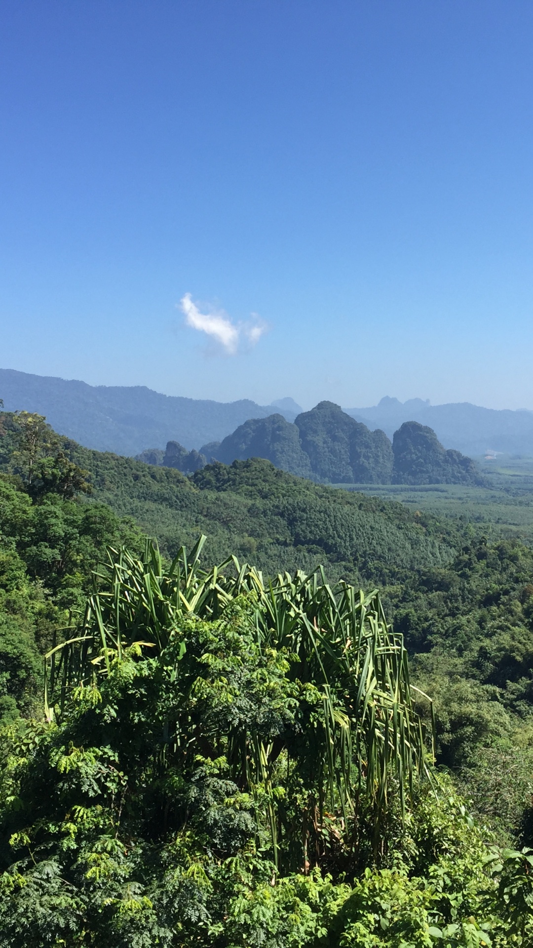 Vegetation, Nature, Natural Environment, Mountainous Landforms, Natural Landscape. Wallpaper in 1080x1920 Resolution