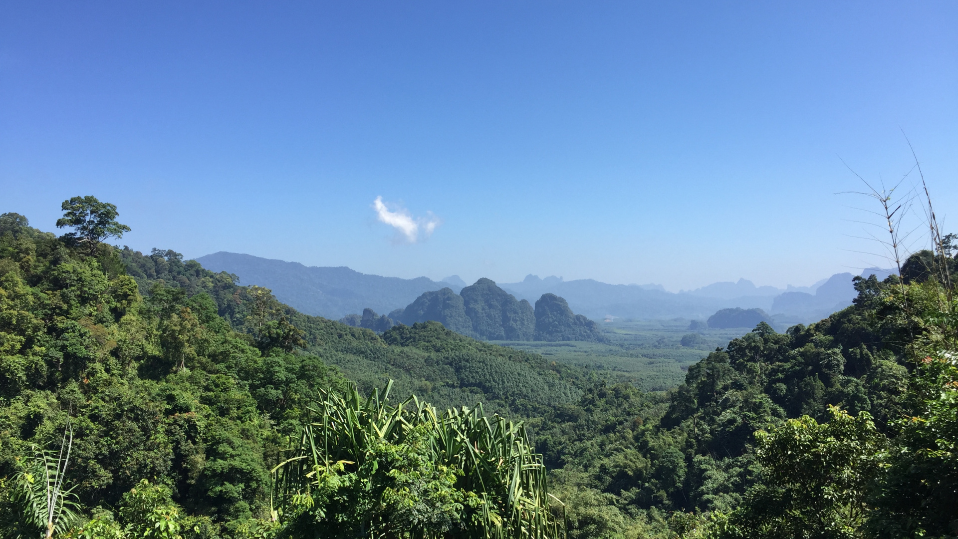 Vegetation, Nature, Natural Environment, Mountainous Landforms, Natural Landscape. Wallpaper in 1920x1080 Resolution