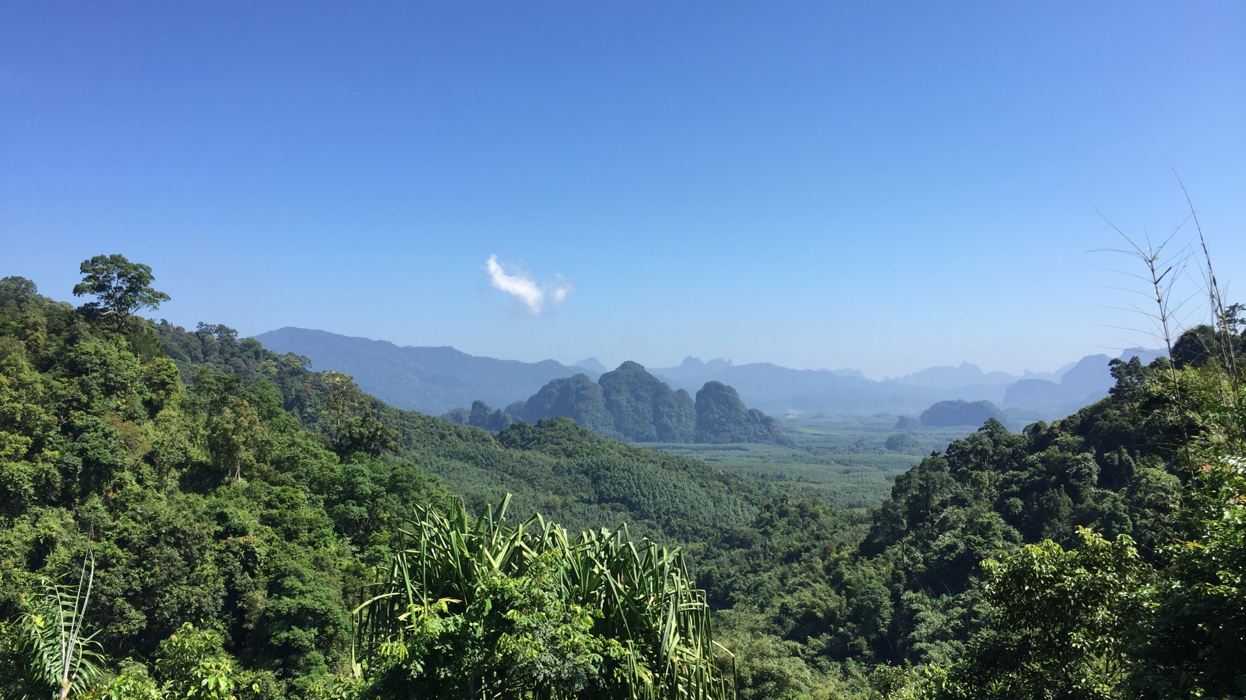 Vegetation, Nature, Natural Environment, Mountainous Landforms, Natural Landscape. Wallpaper in 2560x1440 Resolution