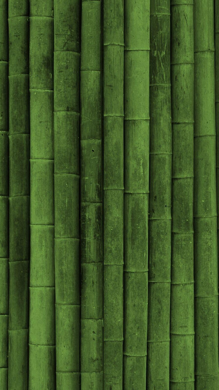 Gr, Blatt, Bambus, Gras, Pflanzen-Stammzellen. Wallpaper in 750x1334 Resolution