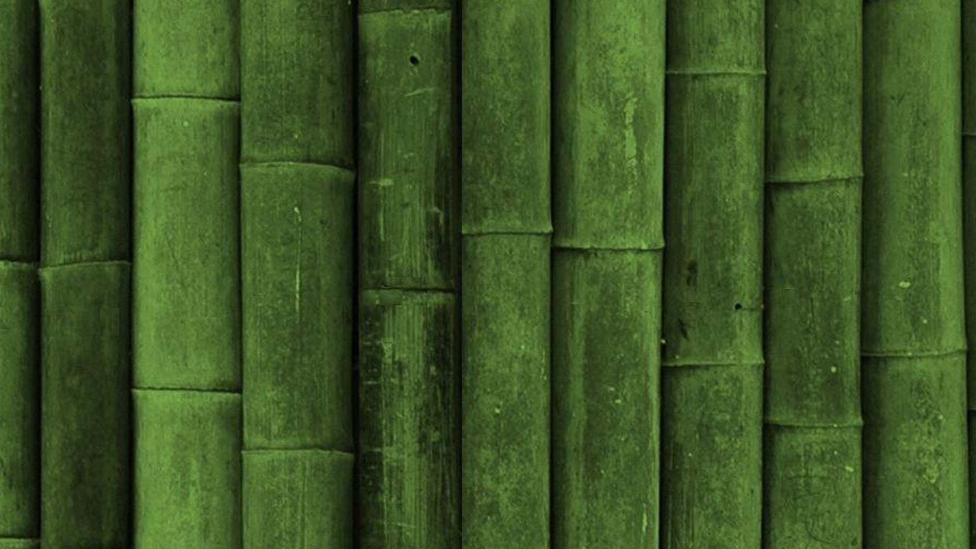 Green, Feuille, Bambou, Tige de la Plante, L'herbe de la Famille. Wallpaper in 1920x1080 Resolution