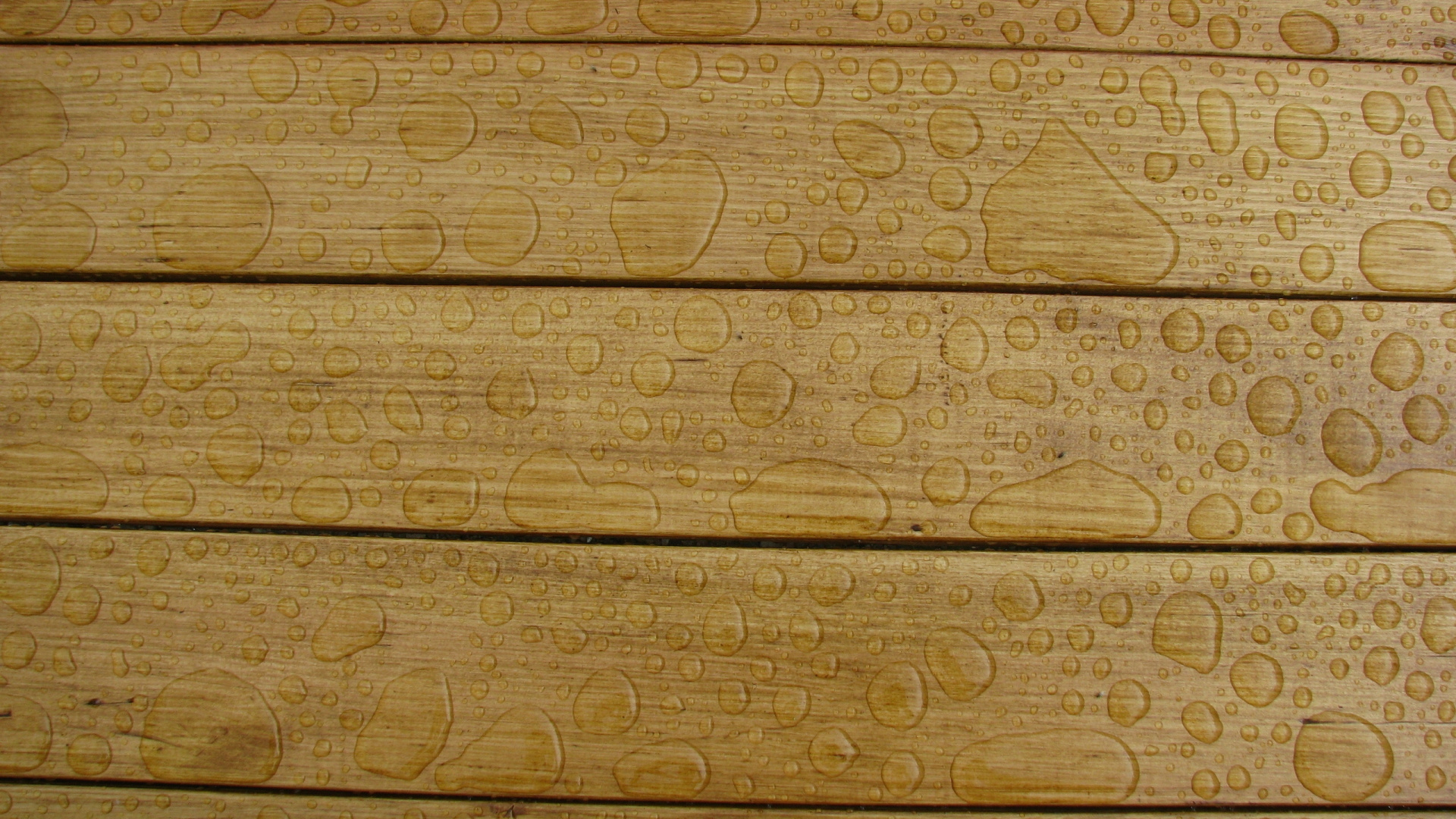 Textile Floral Marron et Beige. Wallpaper in 1920x1080 Resolution