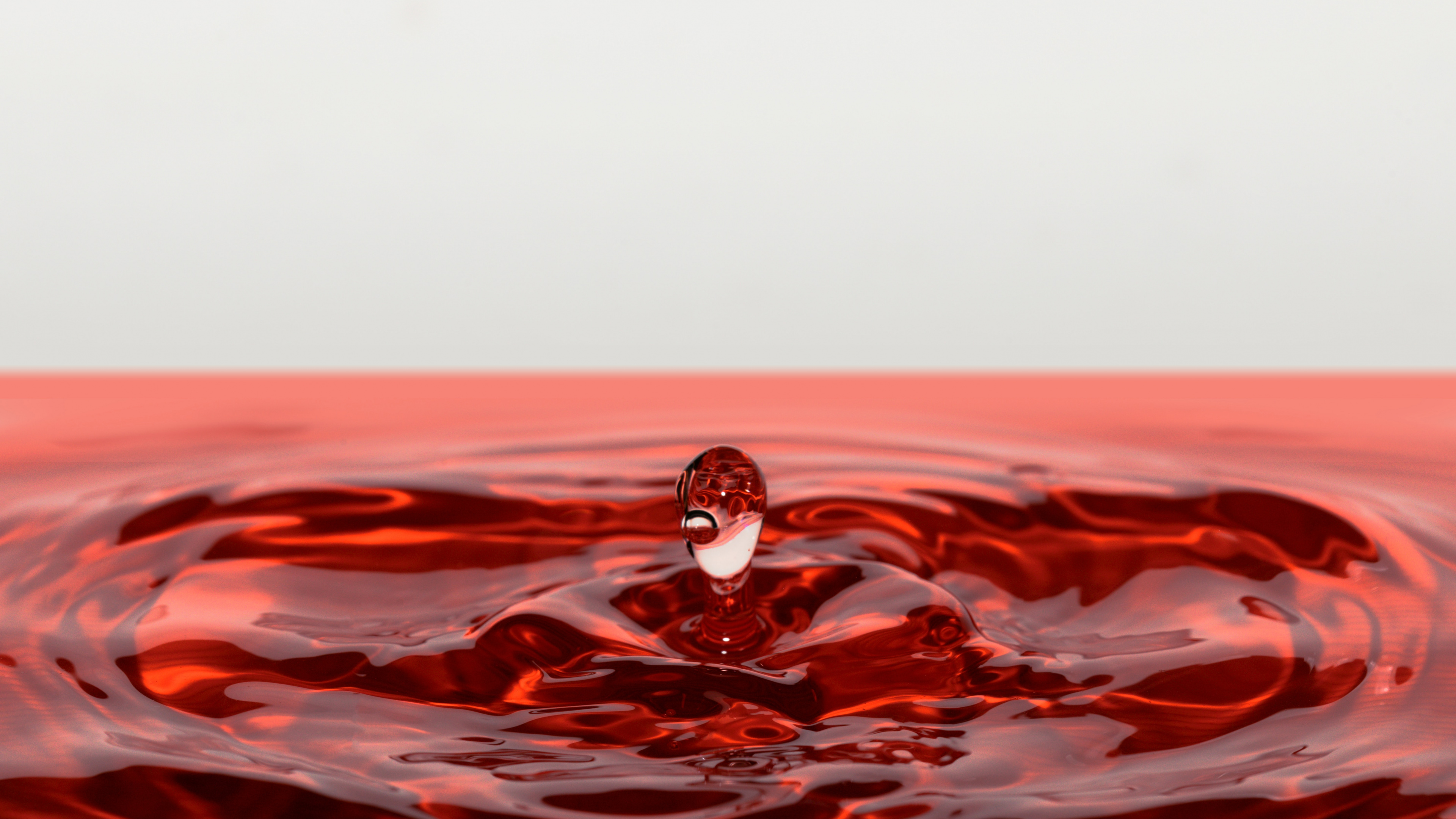 Oiseau Blanc et Noir Sur L'eau Rouge. Wallpaper in 3840x2160 Resolution