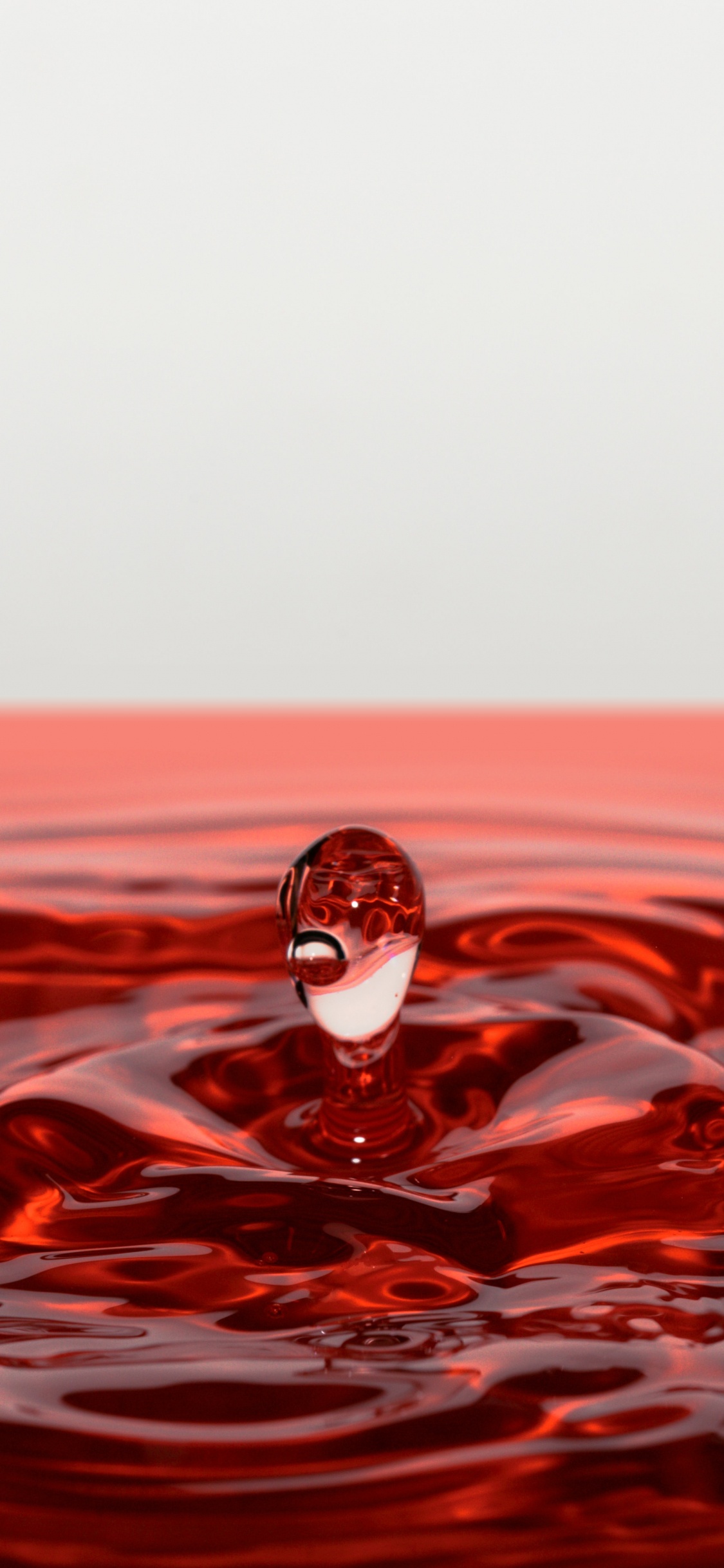 Pájaro Blanco y Negro Sobre Agua Roja. Wallpaper in 1125x2436 Resolution