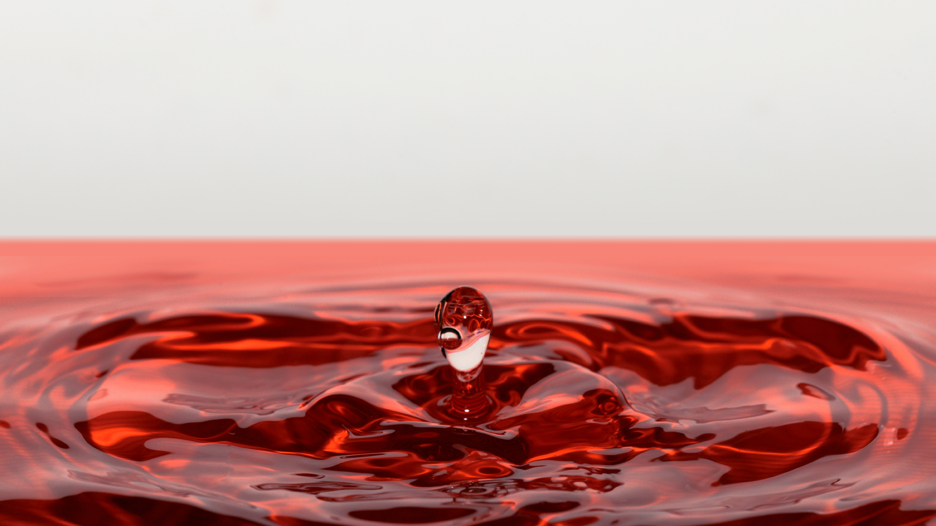 Pájaro Blanco y Negro Sobre Agua Roja. Wallpaper in 1920x1080 Resolution