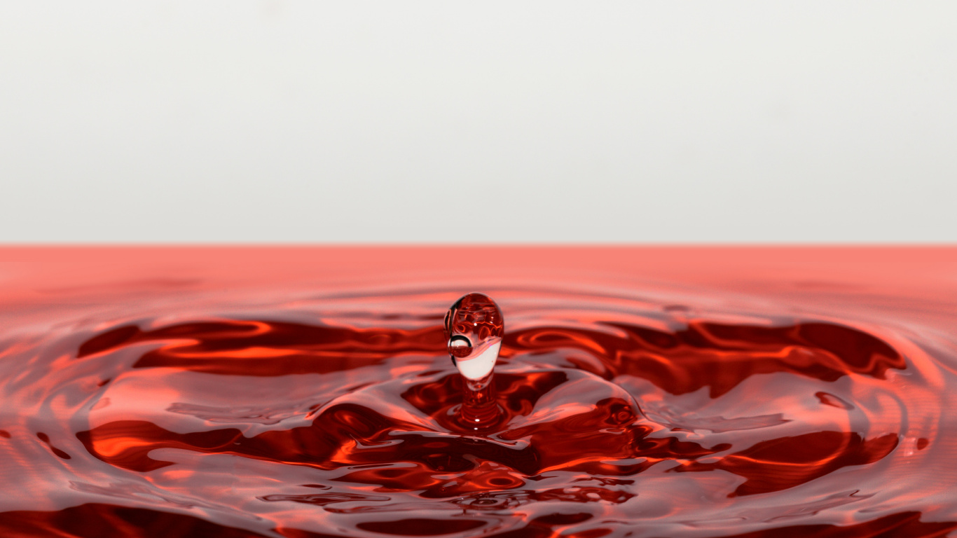 Weißer Und Schwarzer Vogel Auf Rotem Wasser. Wallpaper in 1366x768 Resolution