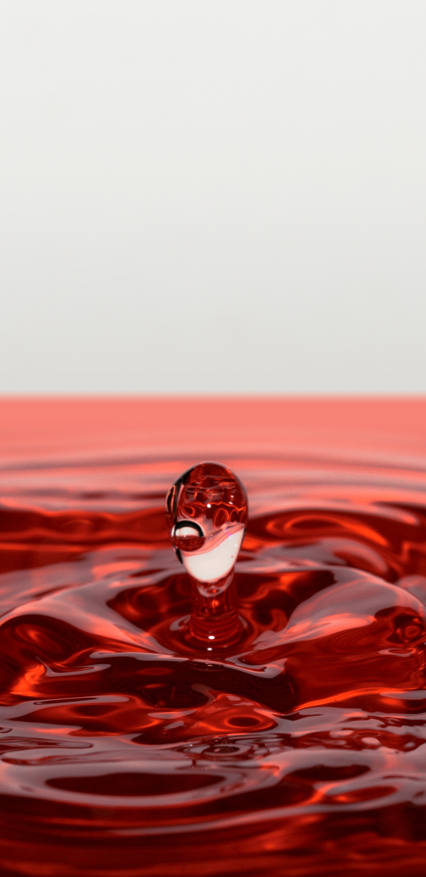 Weißer Und Schwarzer Vogel Auf Rotem Wasser. Wallpaper in 1440x2960 Resolution