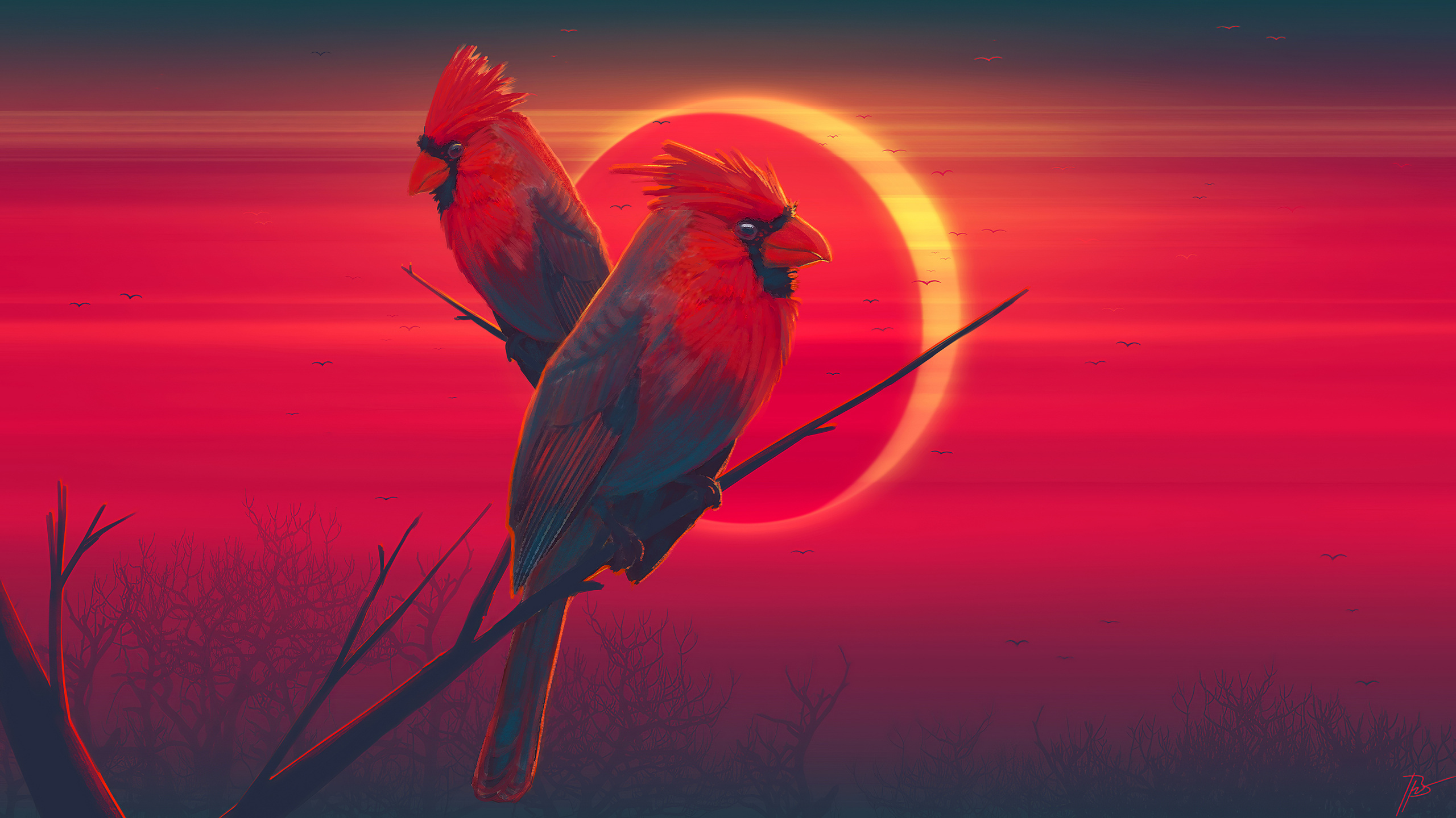 Oiseau Rouge Sur Bâton Marron. Wallpaper in 2560x1440 Resolution
