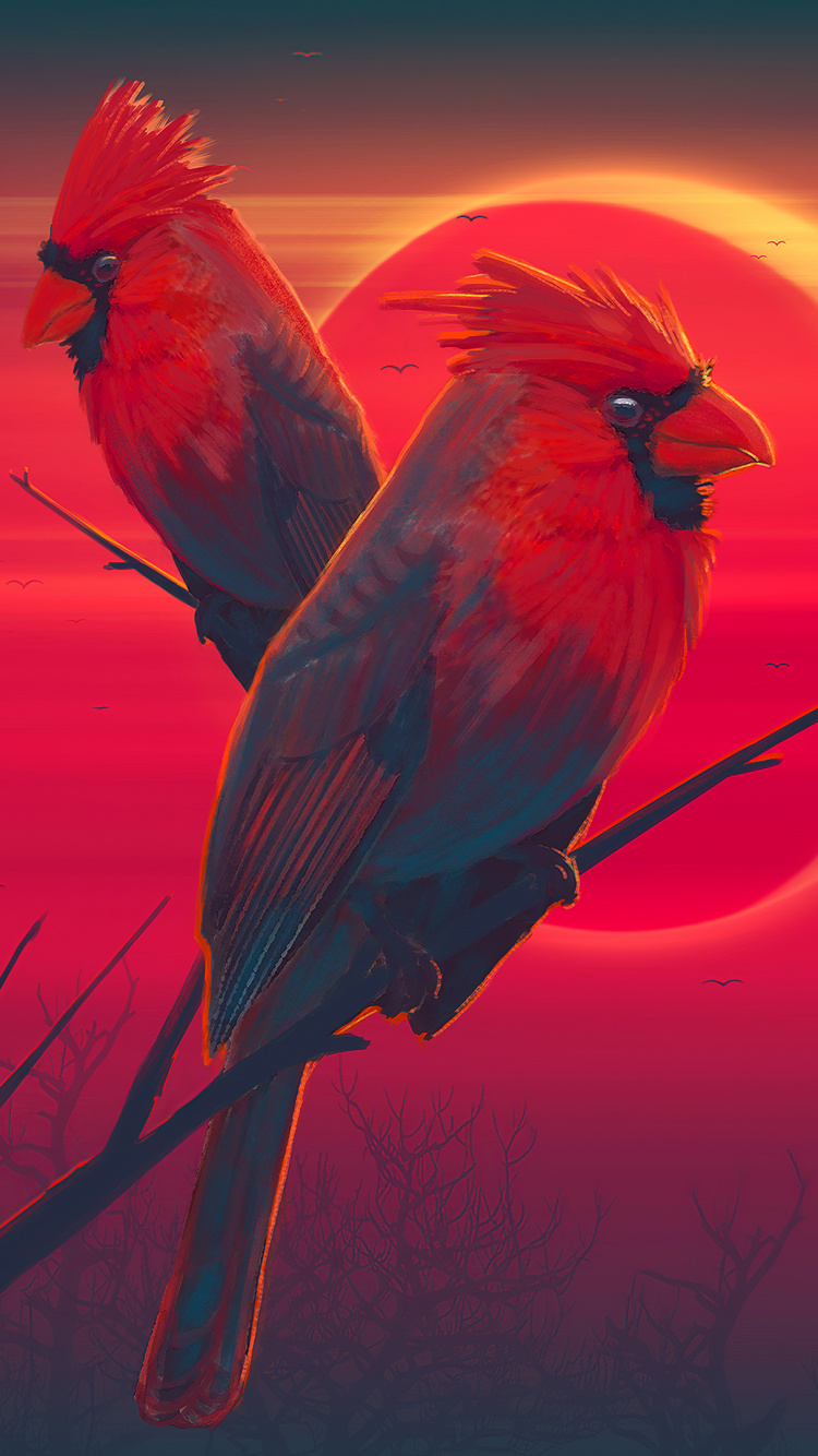 Red Bird on Brown Stick. Wallpaper in 750x1334 Resolution
