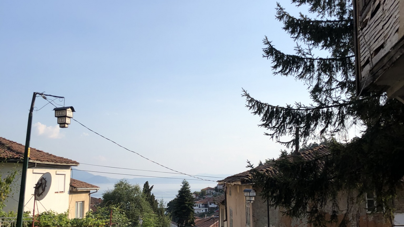 Biologie, Ville, Route, Quartier, Infrastructure. Wallpaper in 1366x768 Resolution