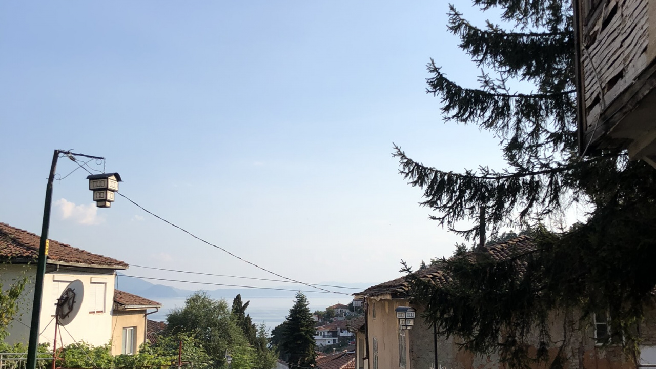 Biology, Town, Road, Neighbourhood, Infrastructure. Wallpaper in 1280x720 Resolution