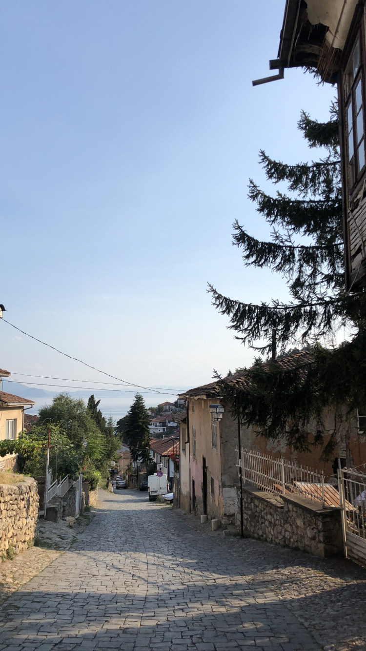 Biology, Town, Road, Neighbourhood, Infrastructure. Wallpaper in 750x1334 Resolution