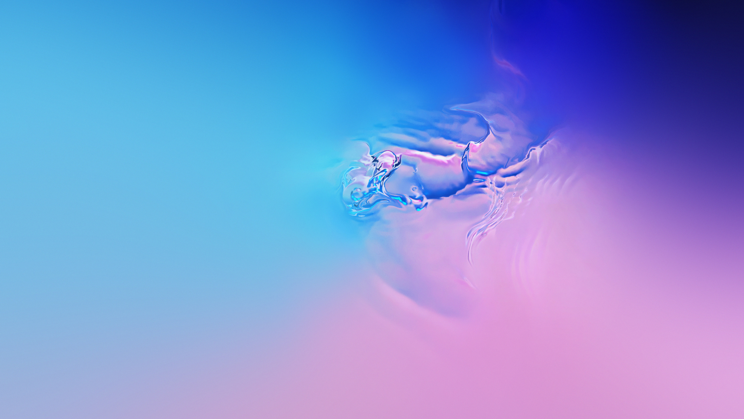 Homme en Short Bleu et Blanc Dans L'eau. Wallpaper in 2560x1440 Resolution