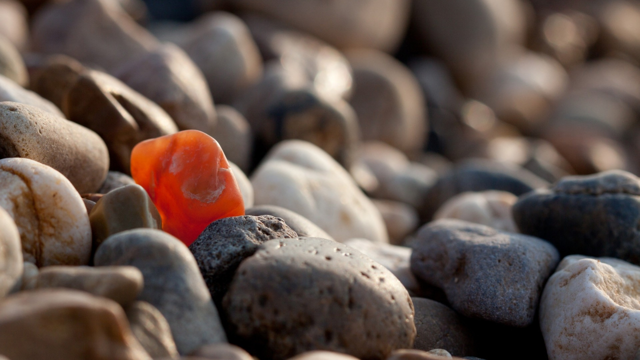 Orange and White Pebbles on The Ground. Wallpaper in 1280x720 Resolution