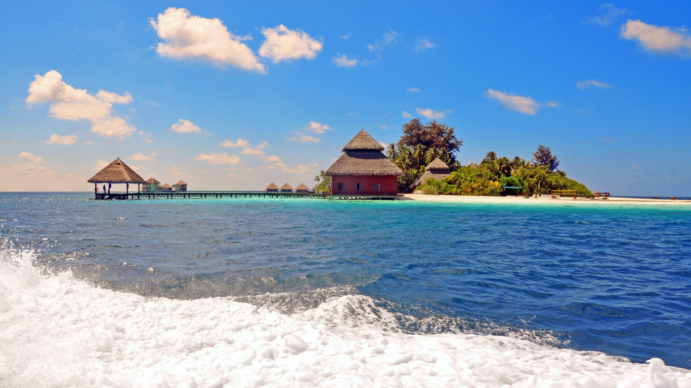 Casa de Madera Marrón en la Playa Durante el Día. Wallpaper in 1366x768 Resolution