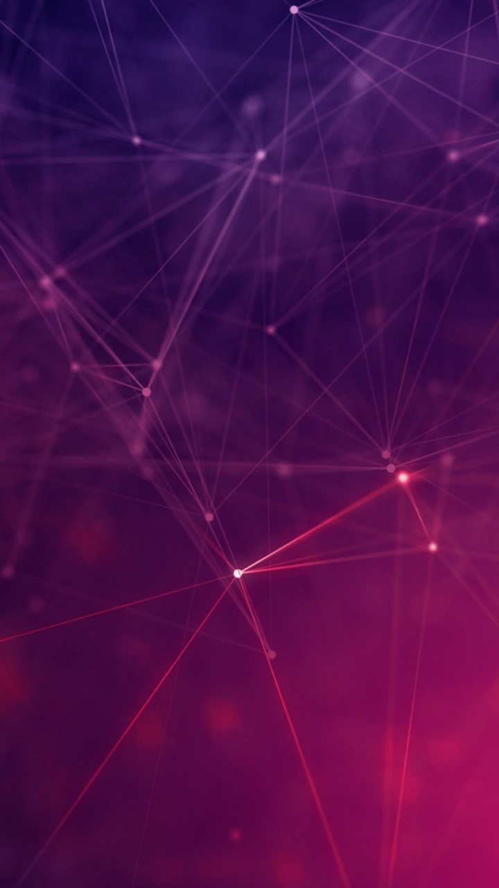 Les Gouttelettes D'eau Sur la Toile D'araignée en Photographie Rapprochée. Wallpaper in 720x1280 Resolution